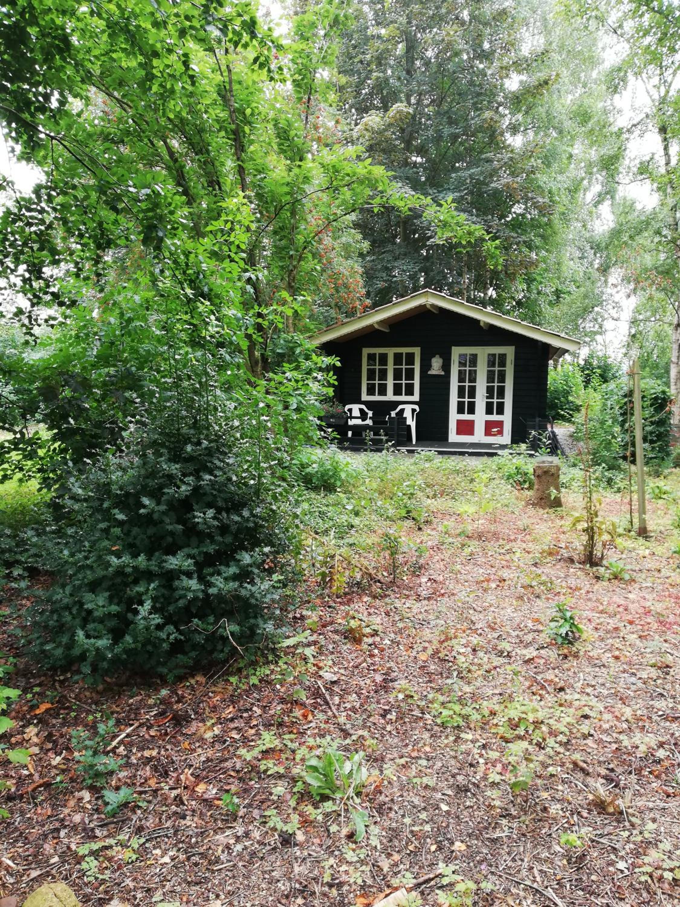 Photo 23