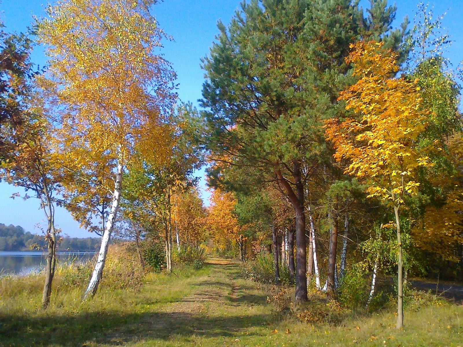 Photo 34