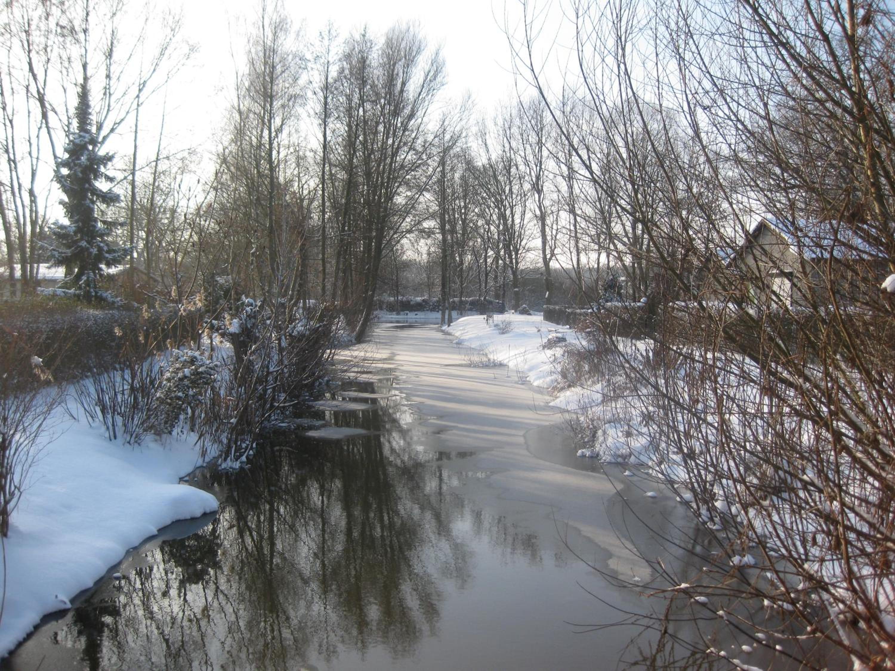 Photo 35