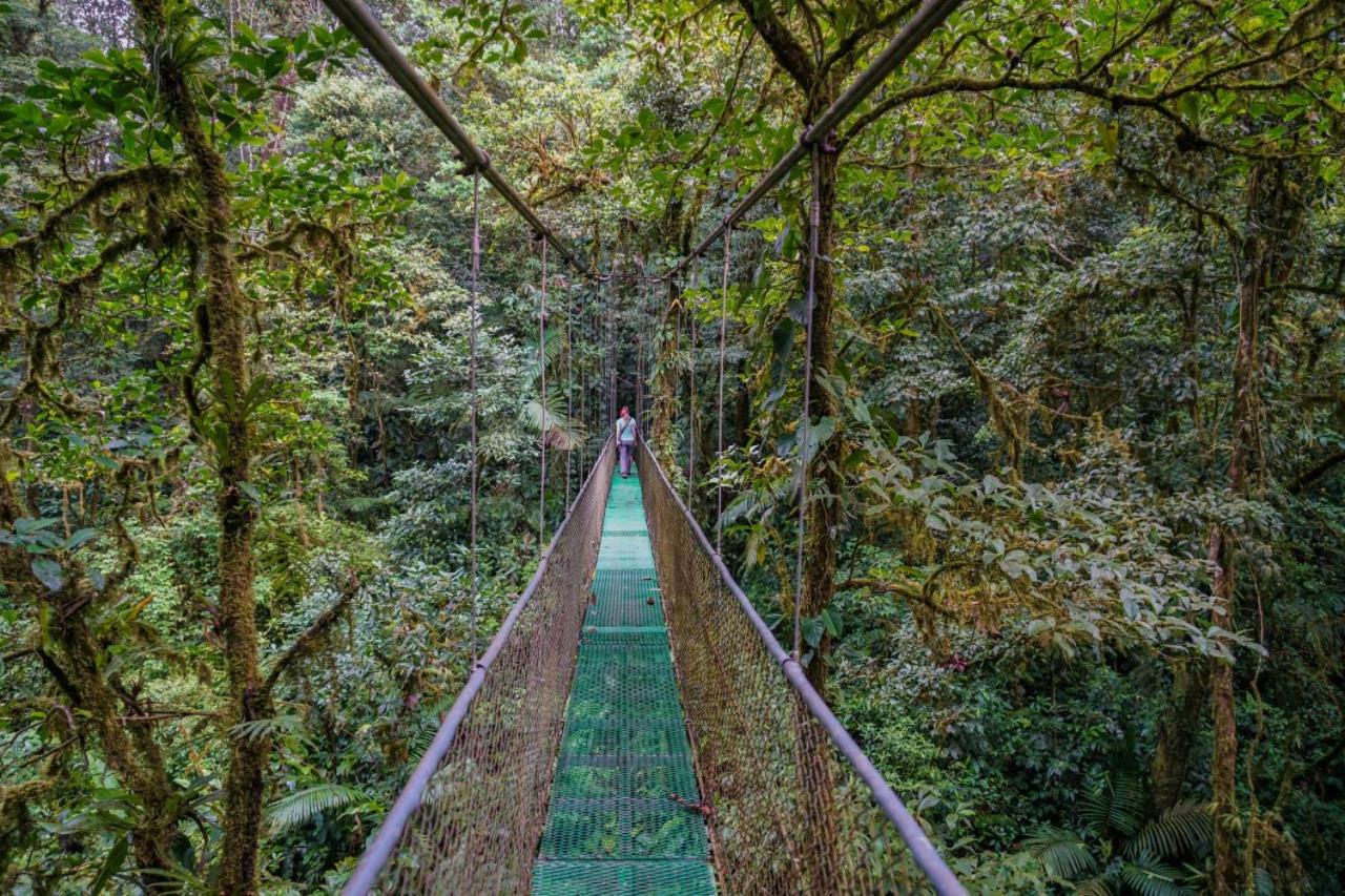 Hotel y Puentes Colgantes Heliconias Rainforest Lodge