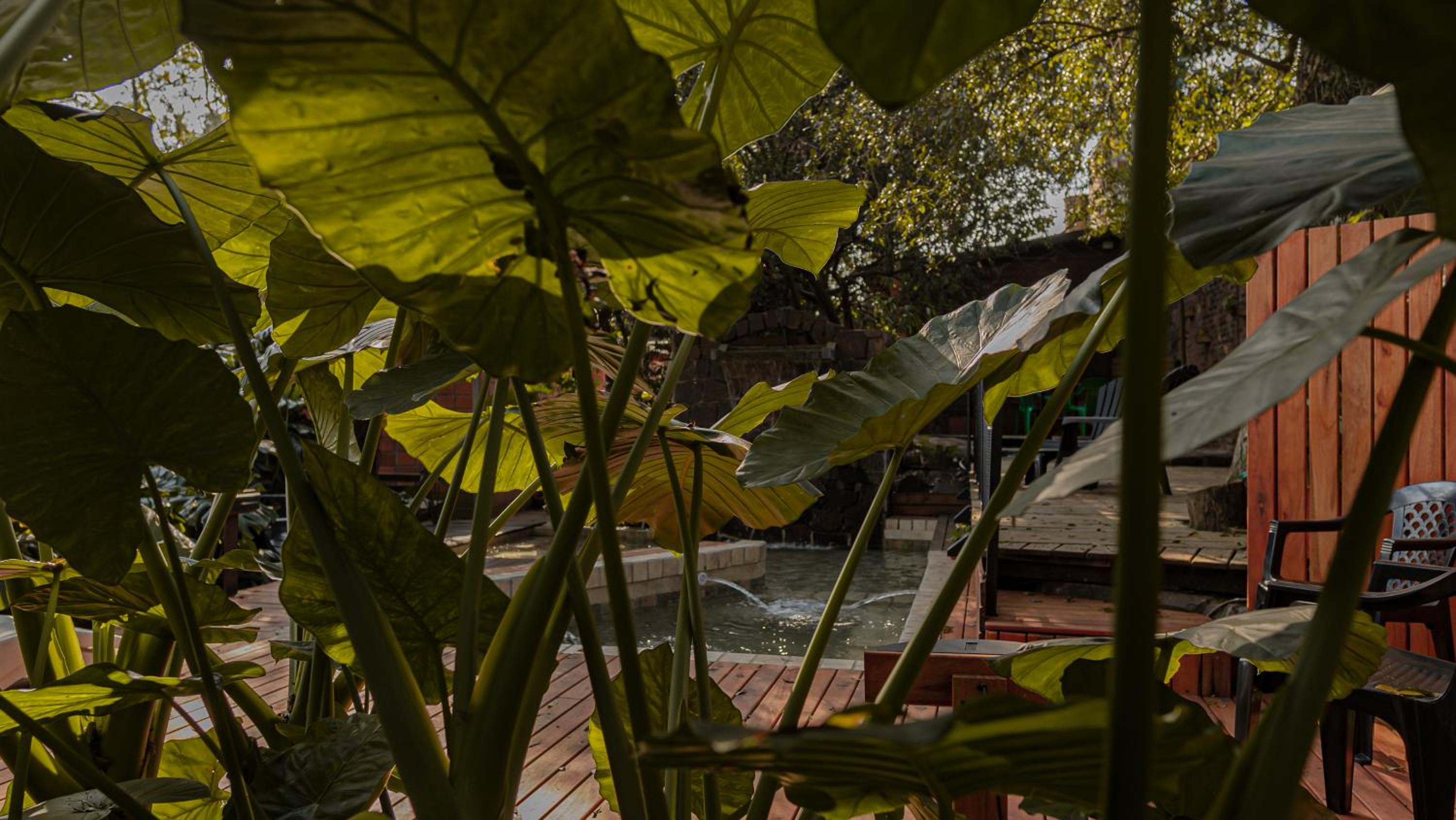 Descanso Verde