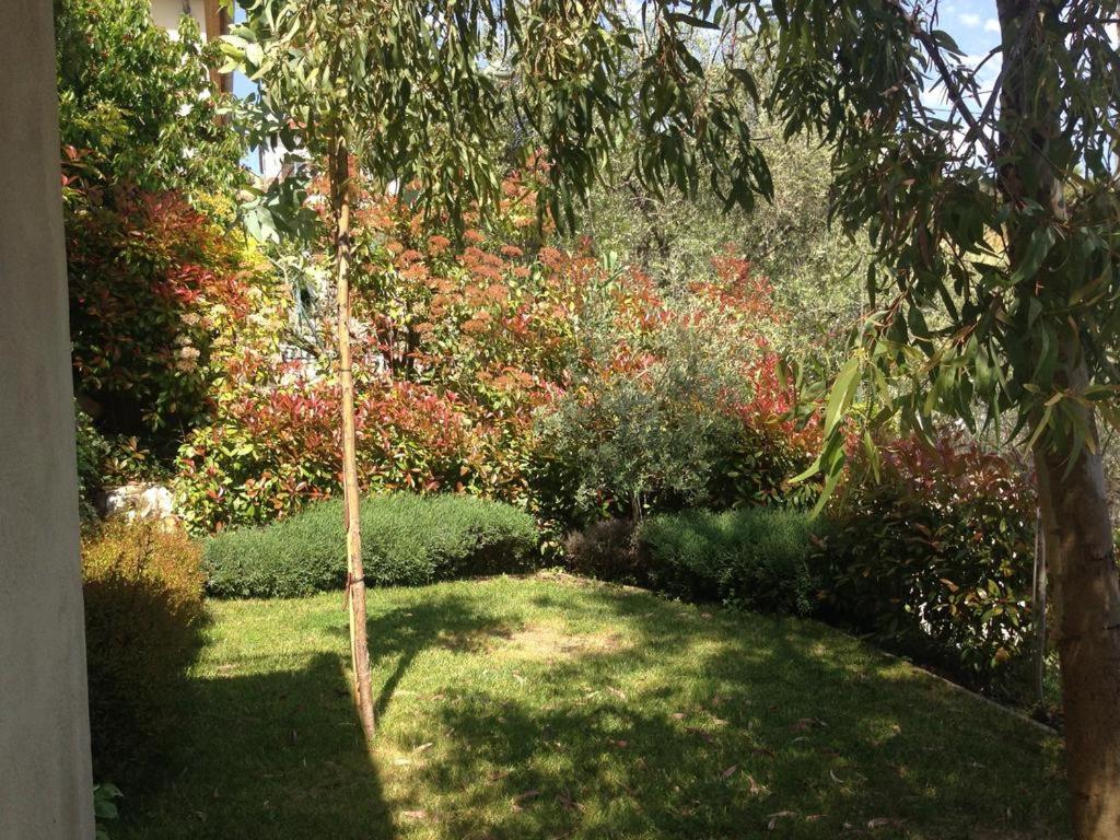 Villa 5* Nice St Pancrace