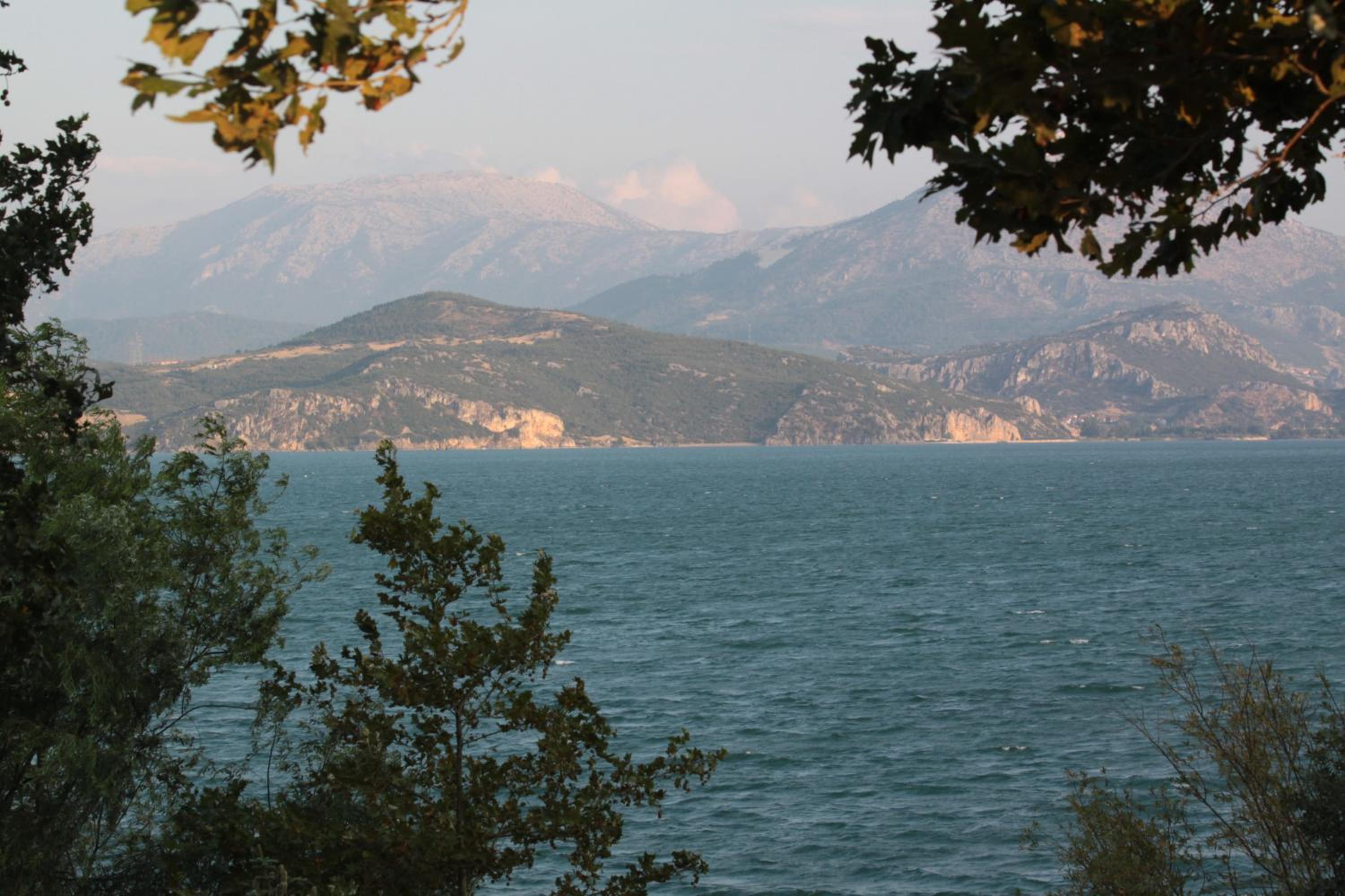 Photo 47