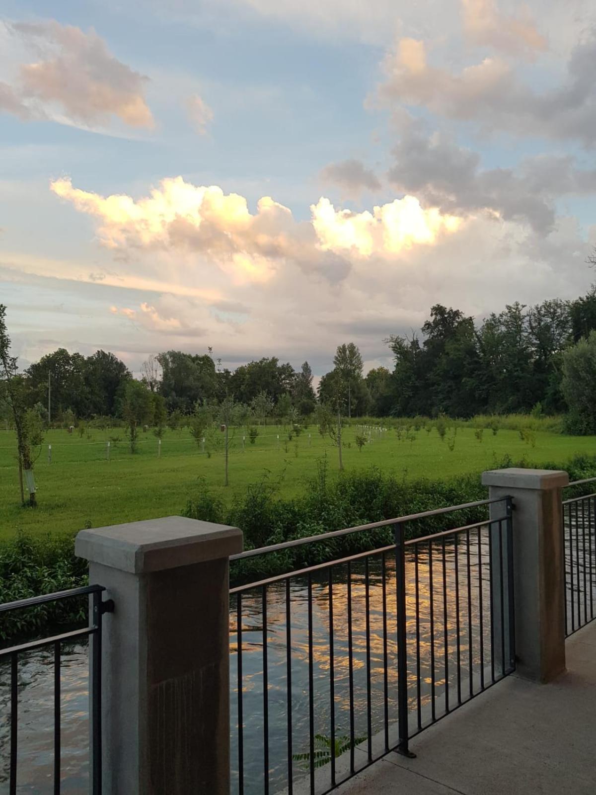 Photo 38