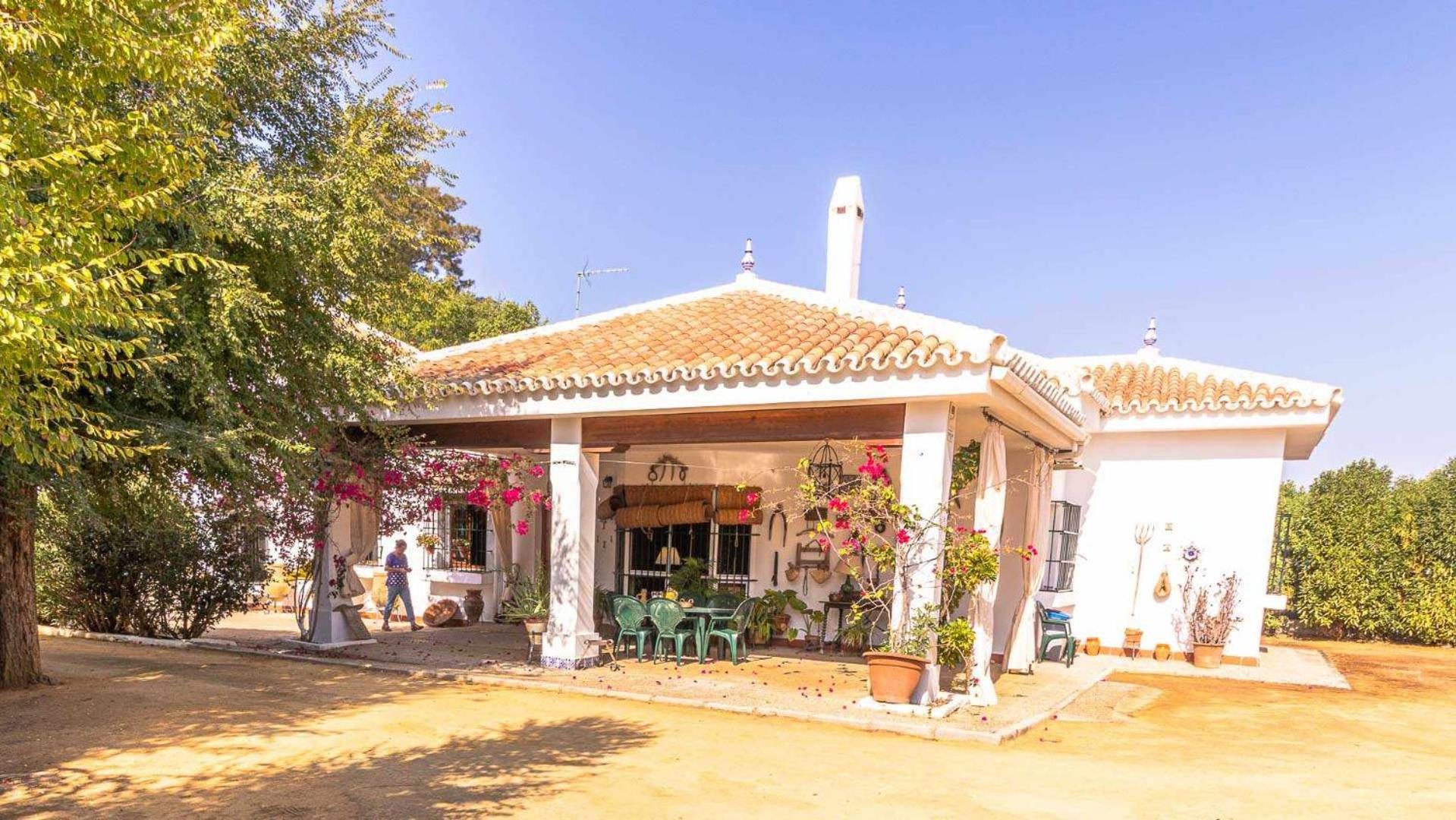 Casa Rural Santa Ana view 4