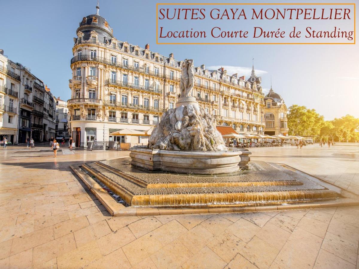 Rare Loft vue sur les toits - Suites Gaya Centre Historique