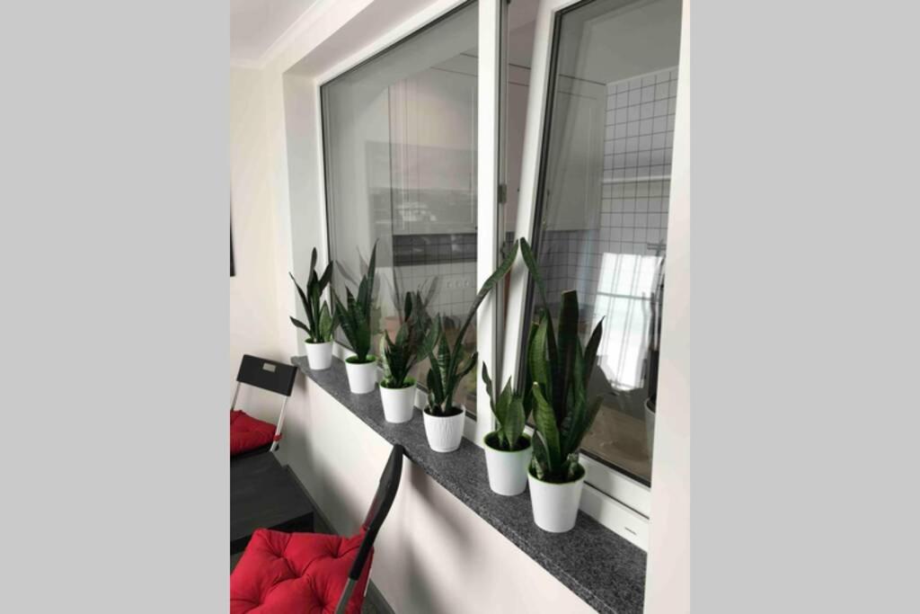 Best apartments on Lyatoshinsky street
