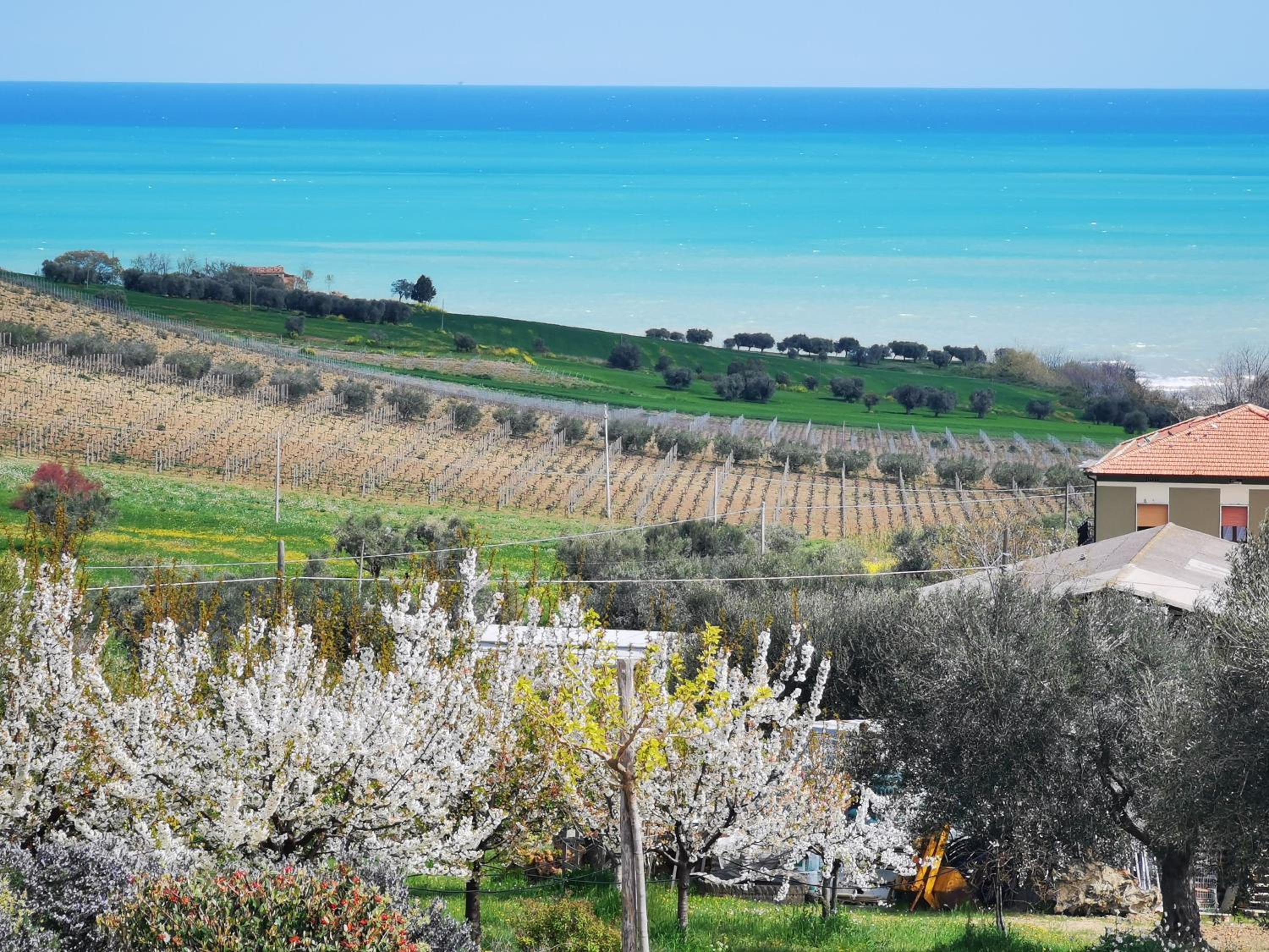 Villa Borsacchio photo 3