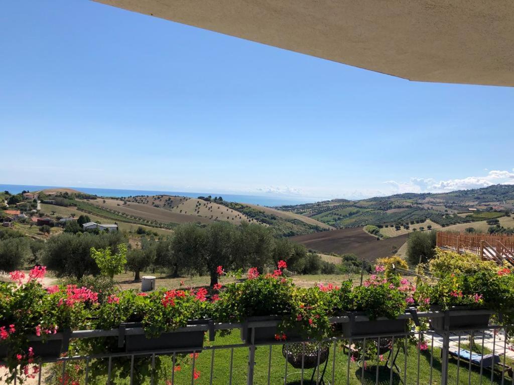 Villa Borsacchio photo 2