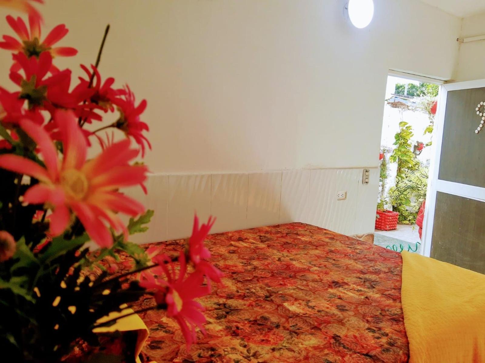 Hostal Solsticio Guajiro