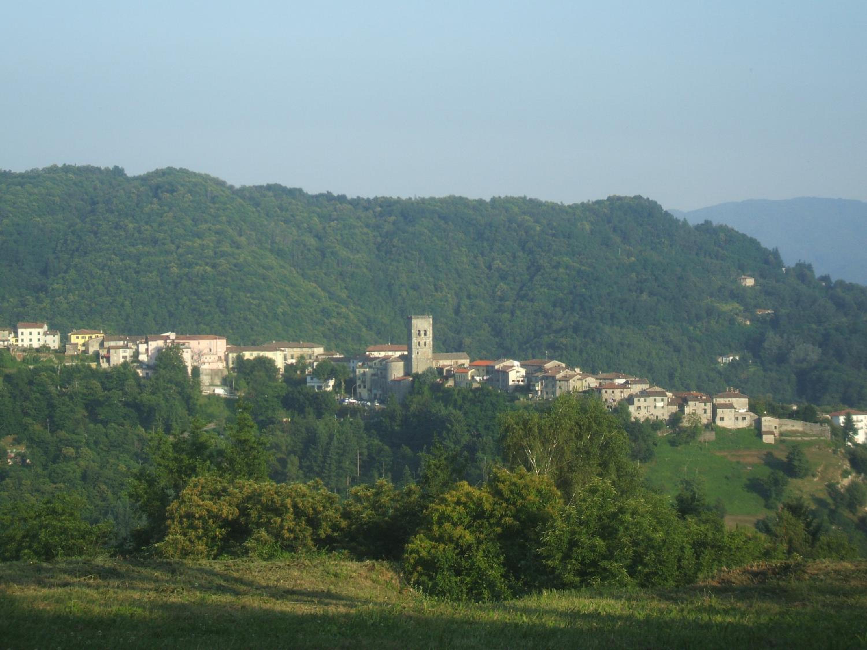 Photo 18