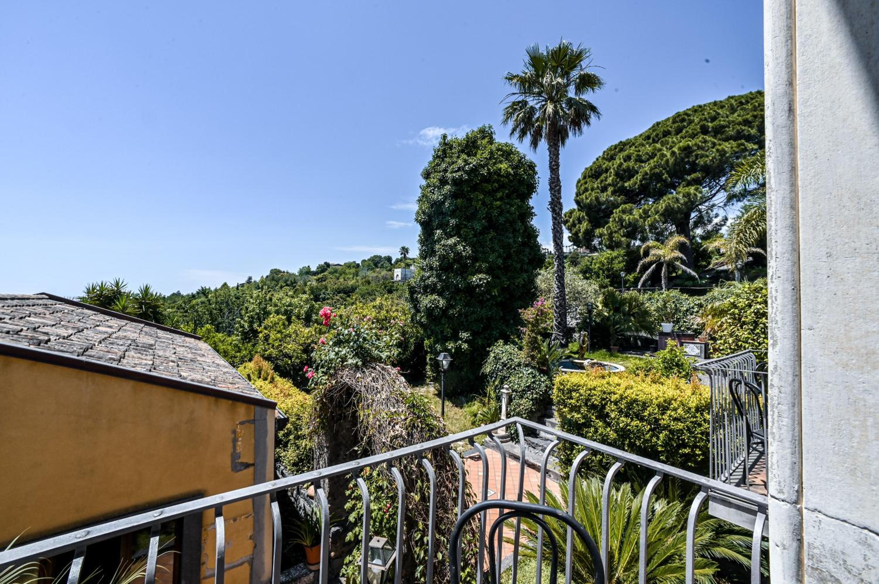 IL Ciliegio Dell 'Etna