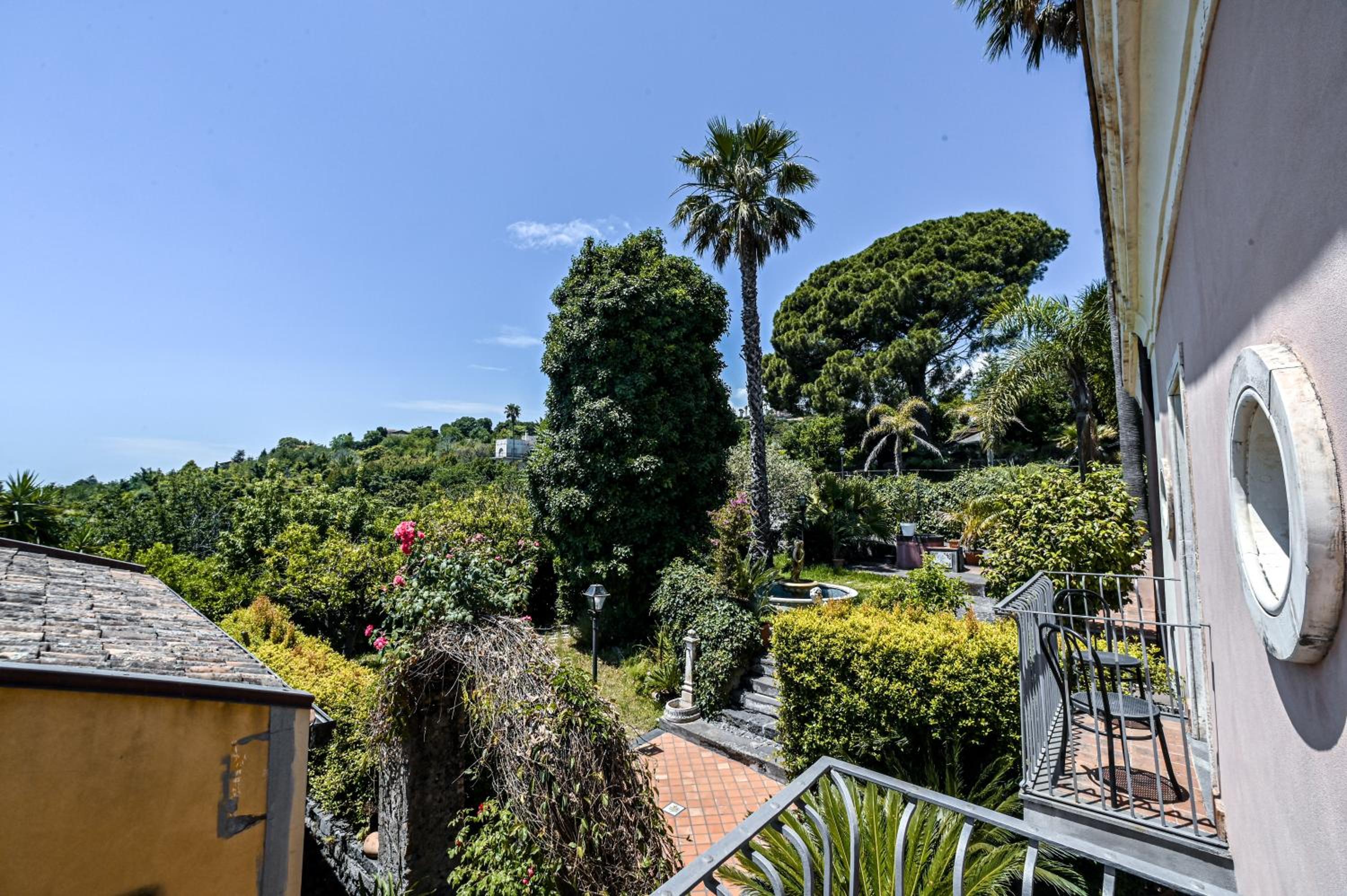 IL Ciliegio Dell 'Etna
