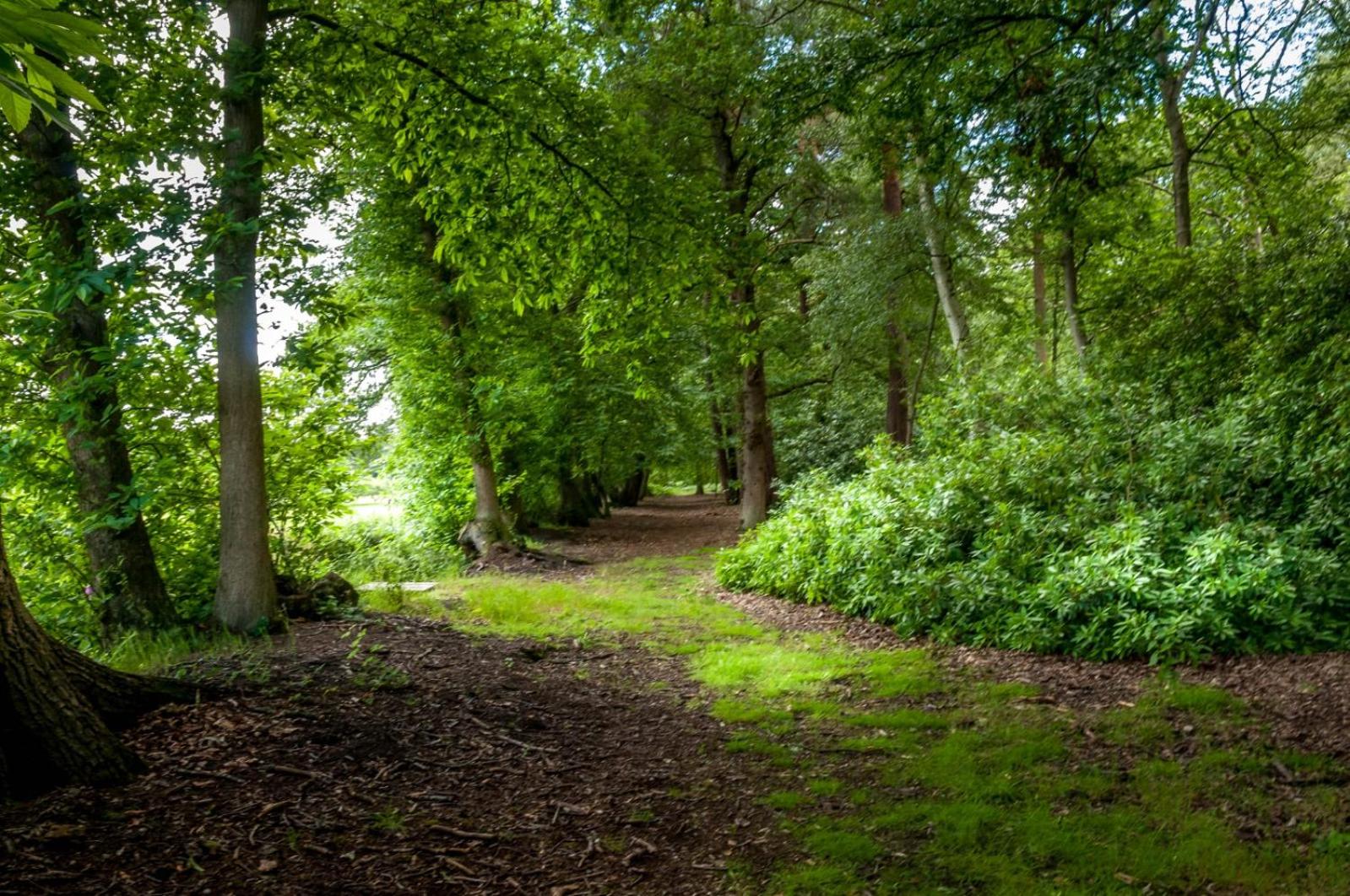 Guildford Vacations - Whitmoor Farm - Property Image 7