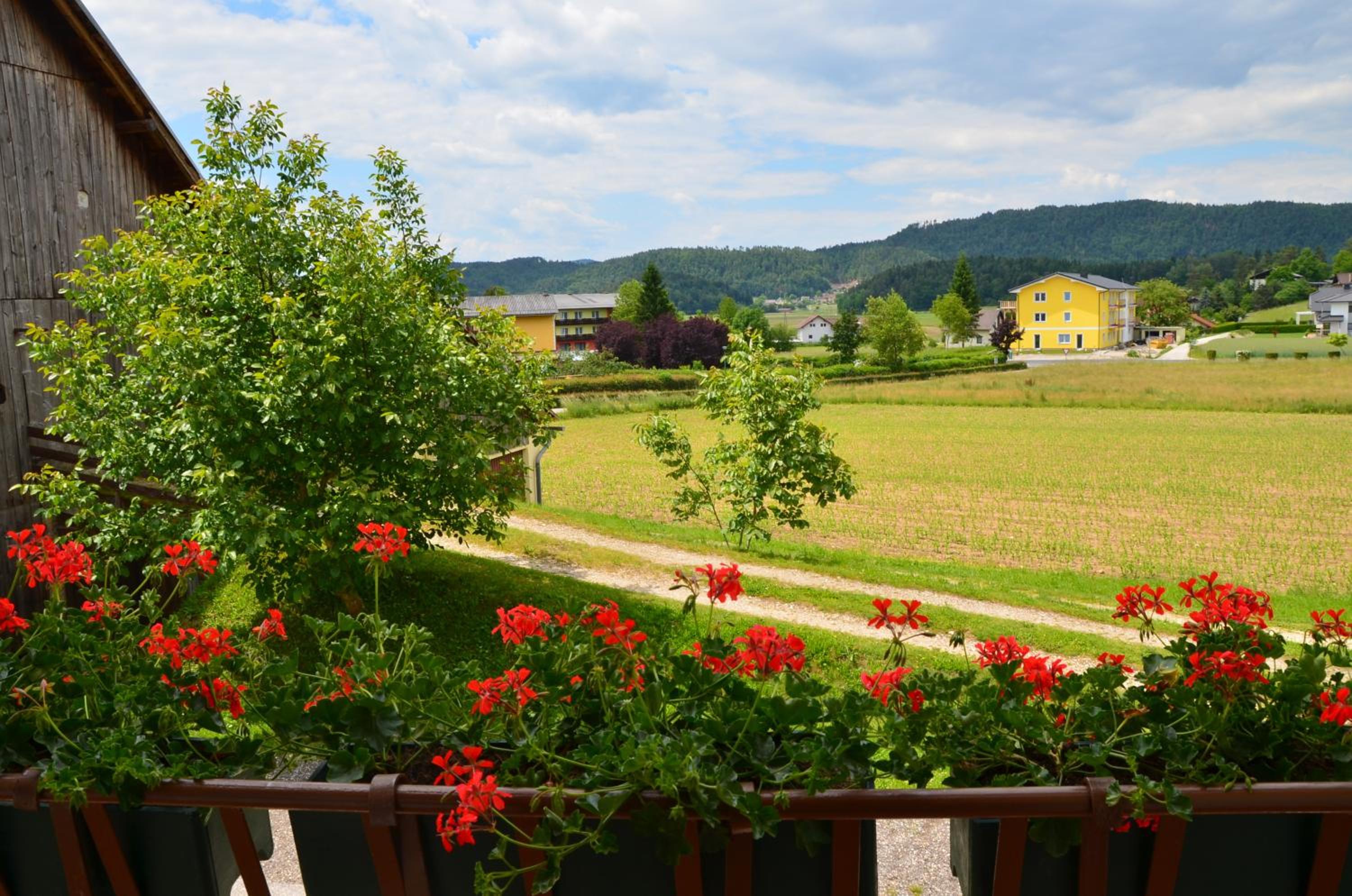 Pension Hribernig