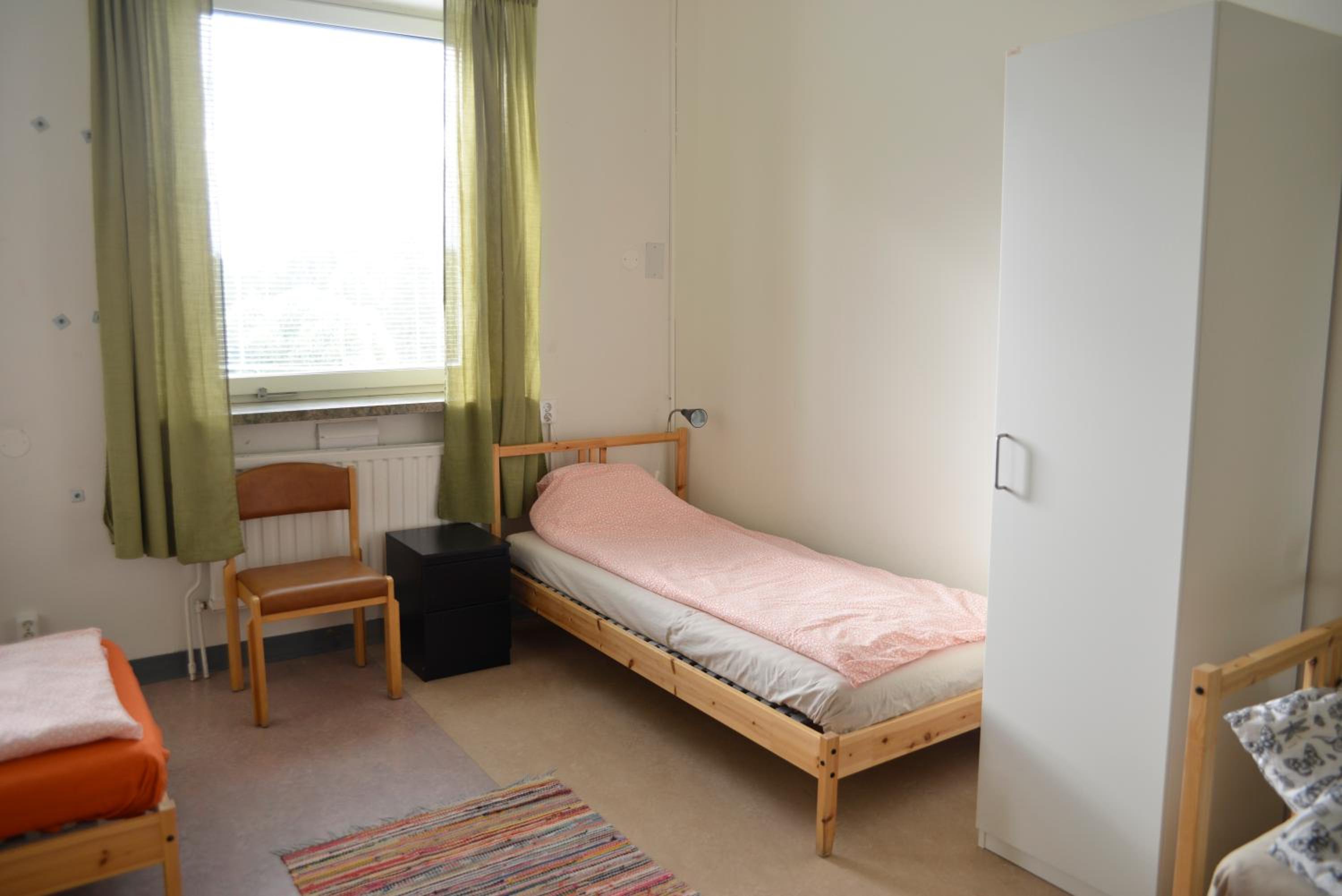 Photo 50