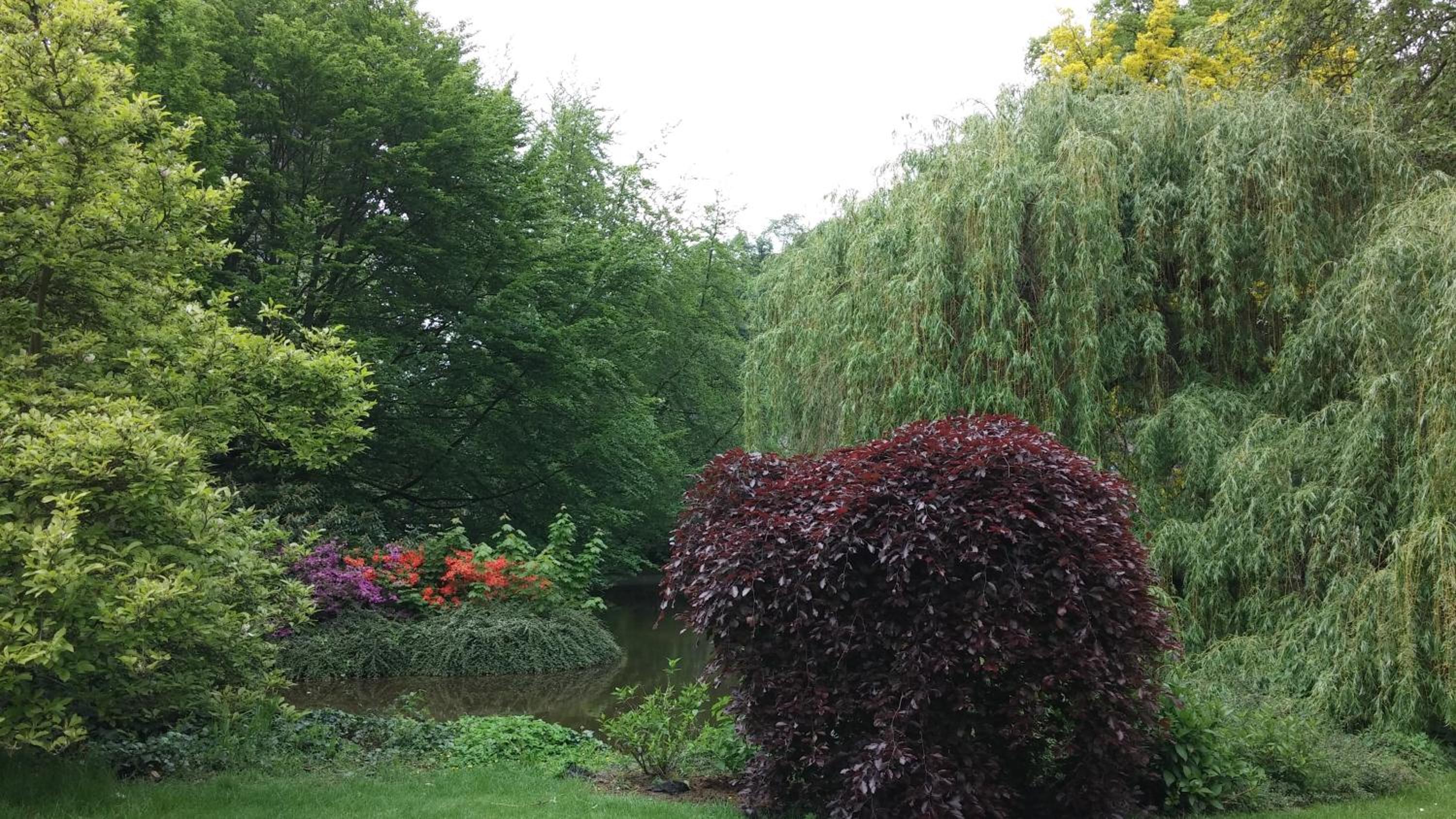 Photo 16