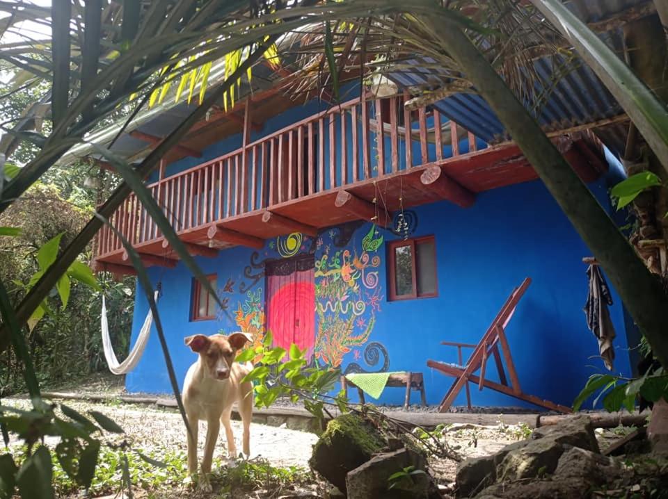 Eco Albergue Azul
