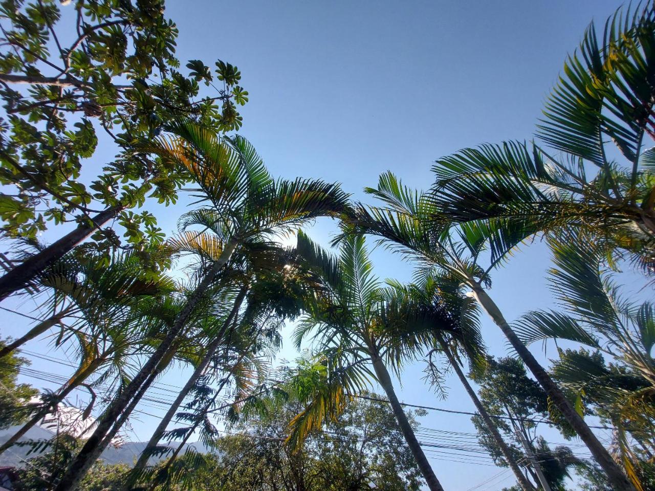 Eco Paradise Muriqui