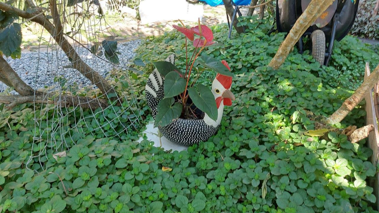 Eco Paradise Muriqui