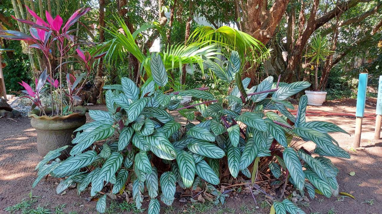 Eco Paradise Muriqui