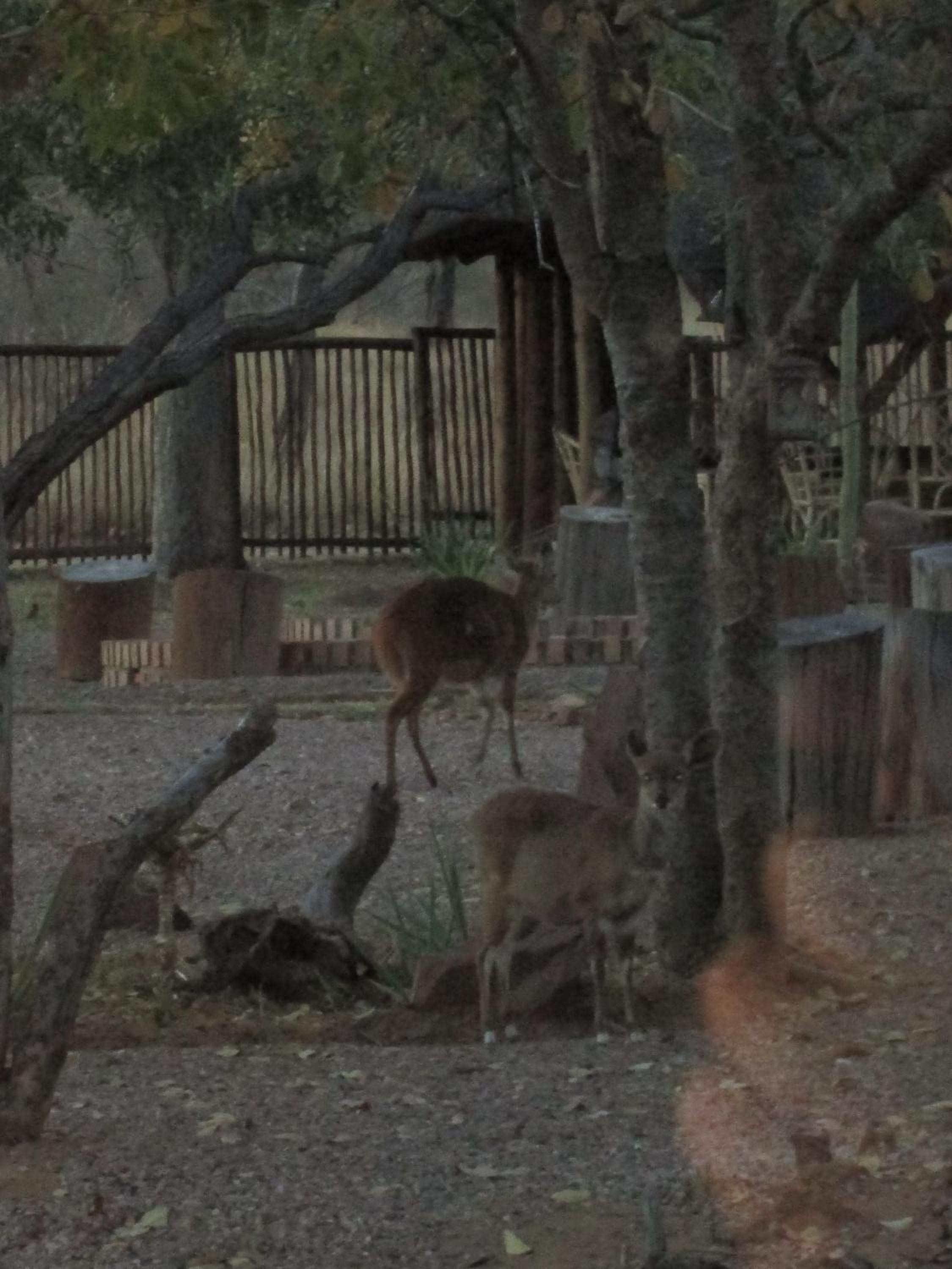 Mon Repos Guest Farm view 3