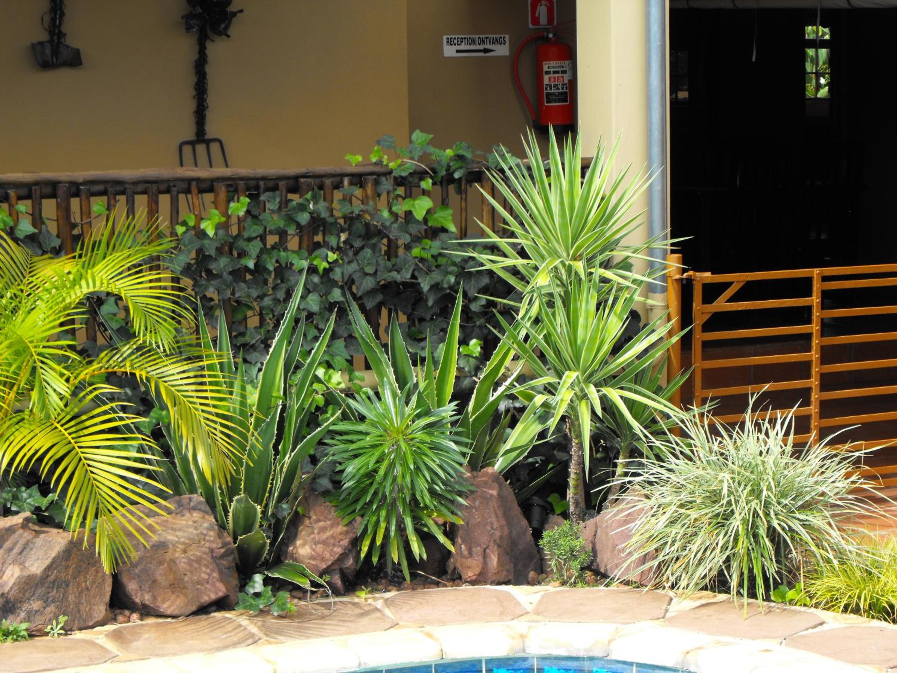 Mon Repos Guest Farm view 5