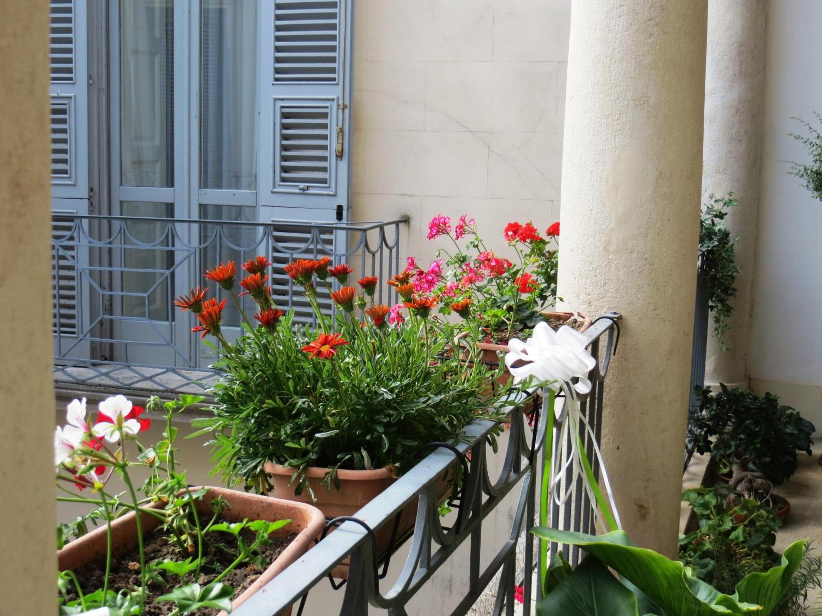 B&B Casa Cavalli