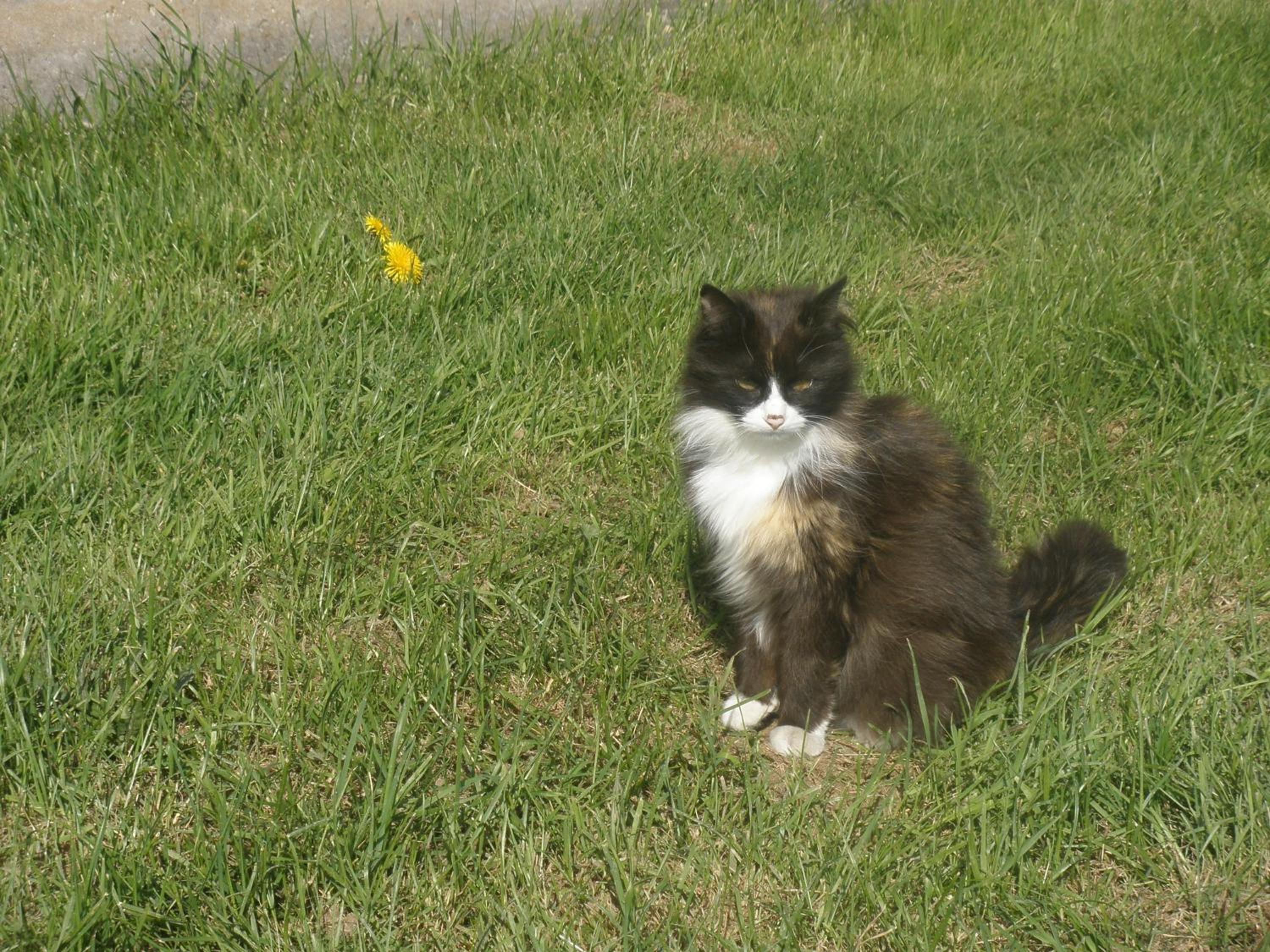 Photo 33