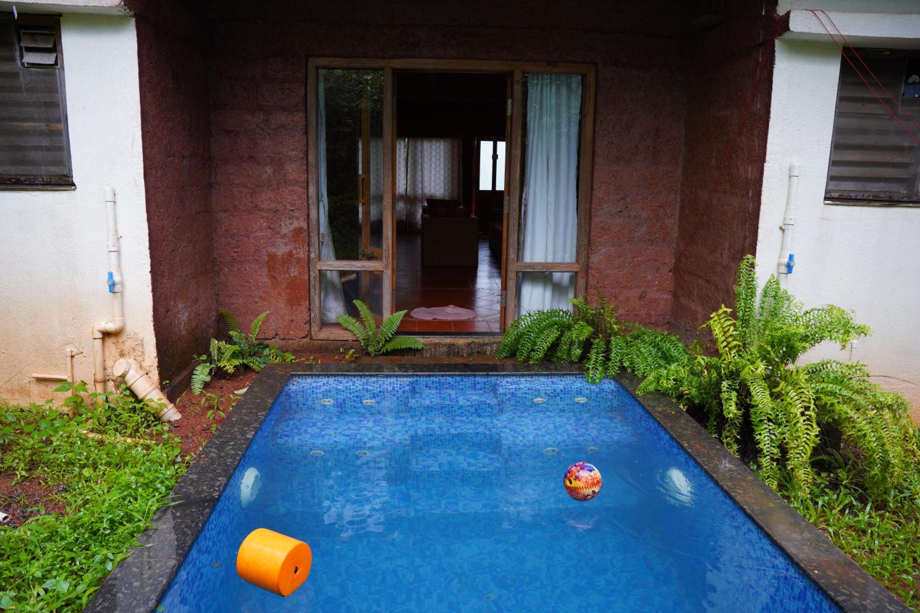 Forest Escapes Koyna