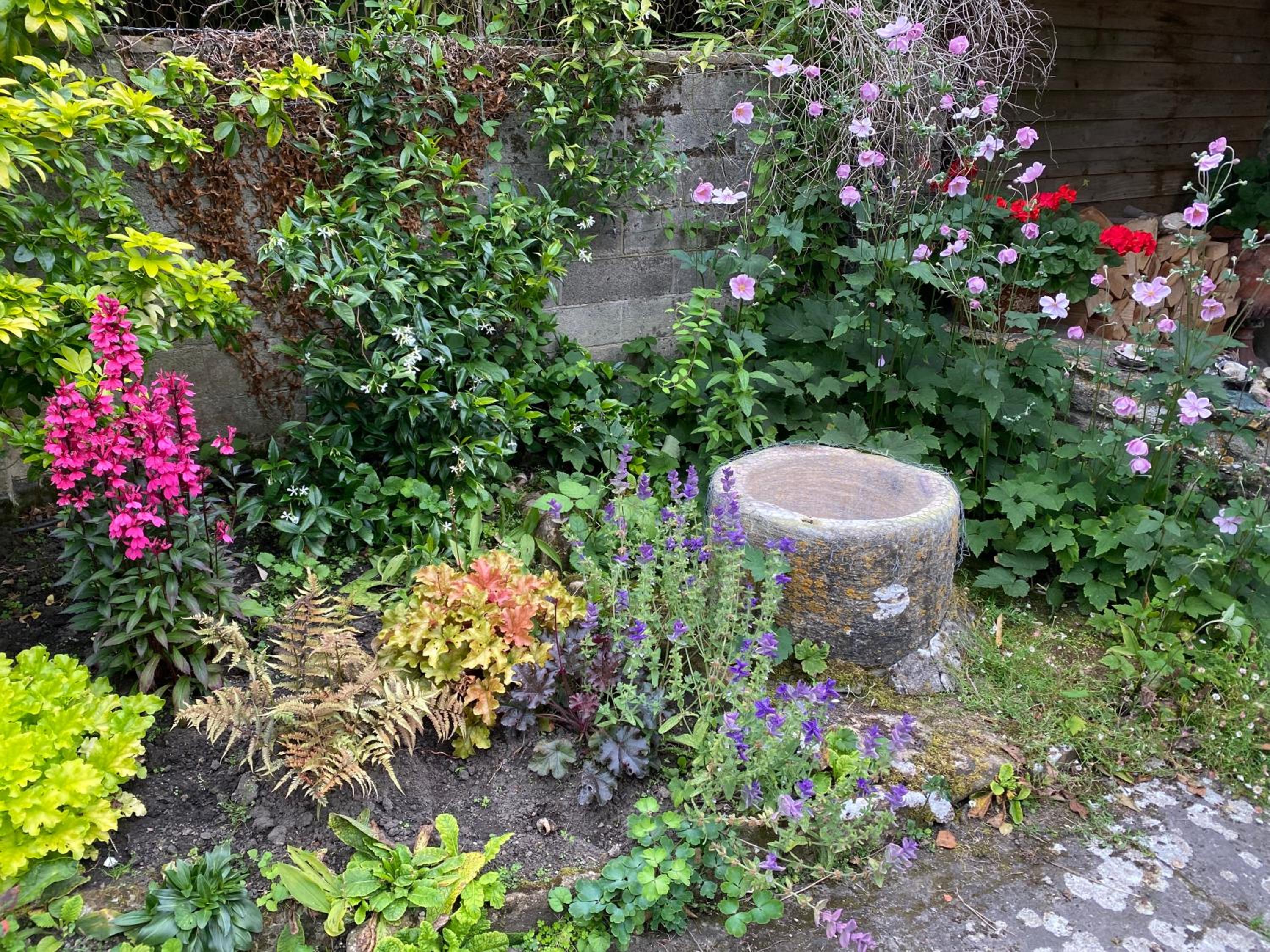 Herb Cottage, photo 19