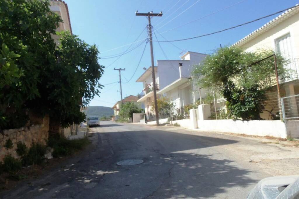 Photo 41
