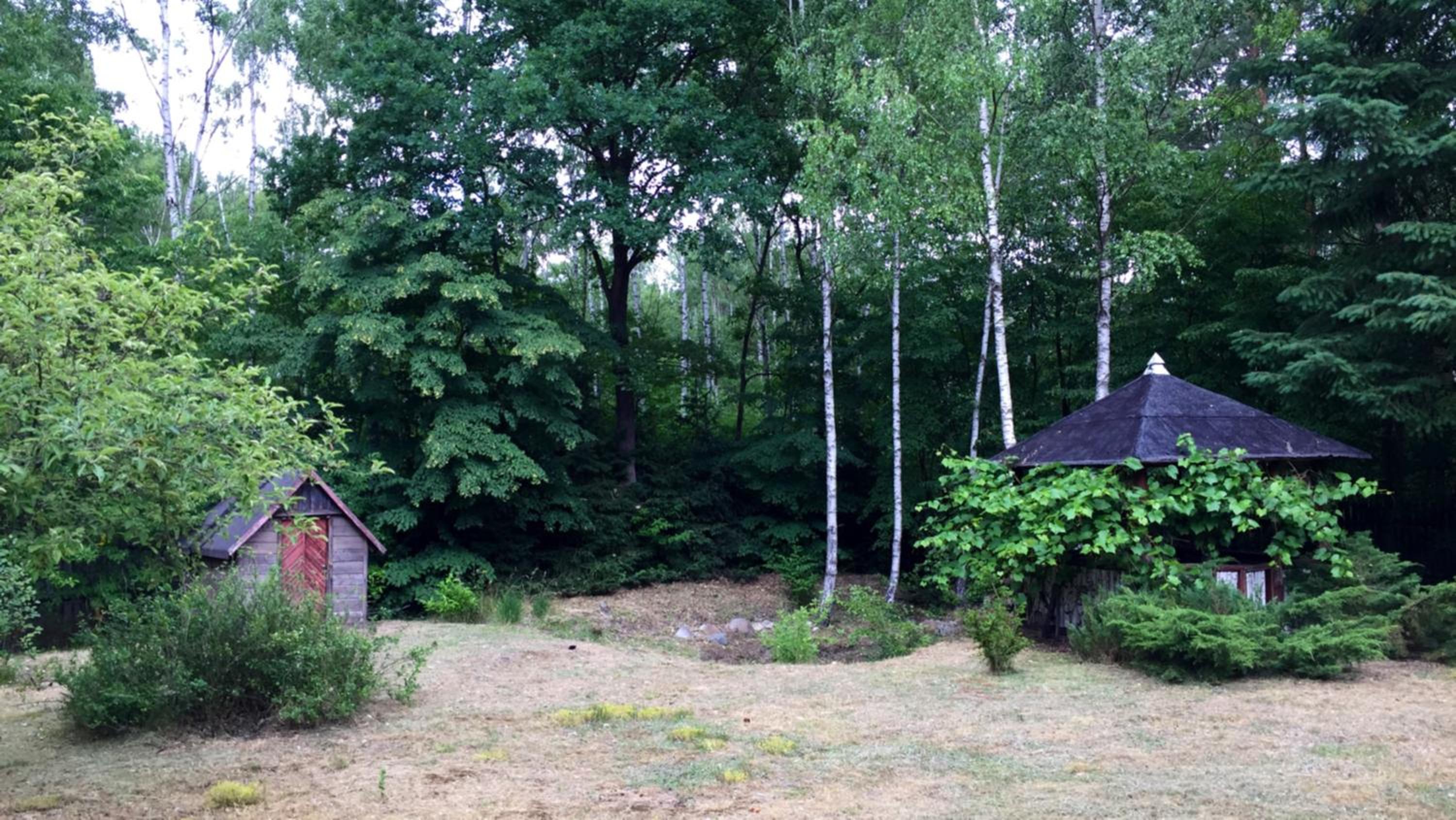 Photo 42