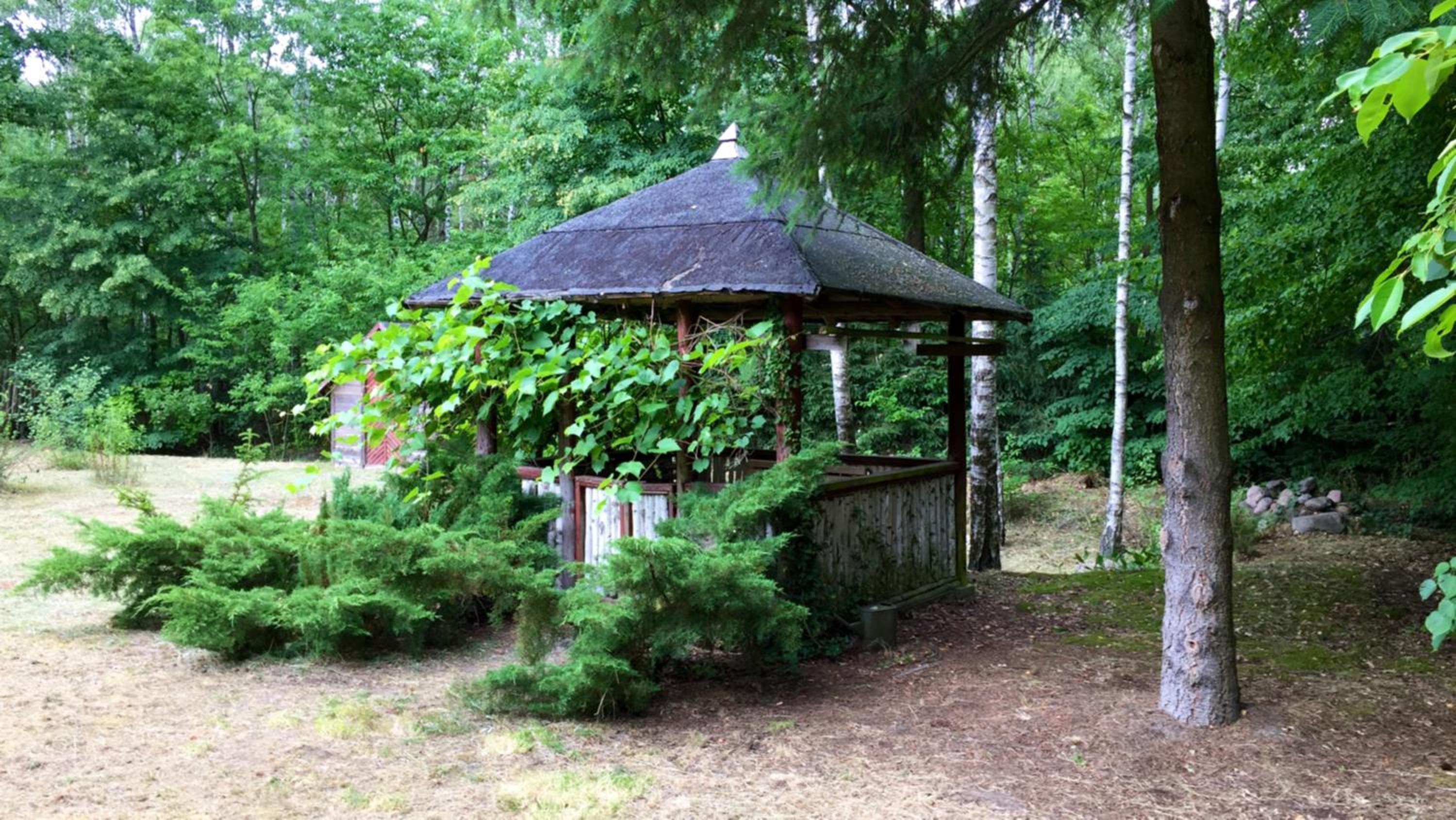 Photo 41