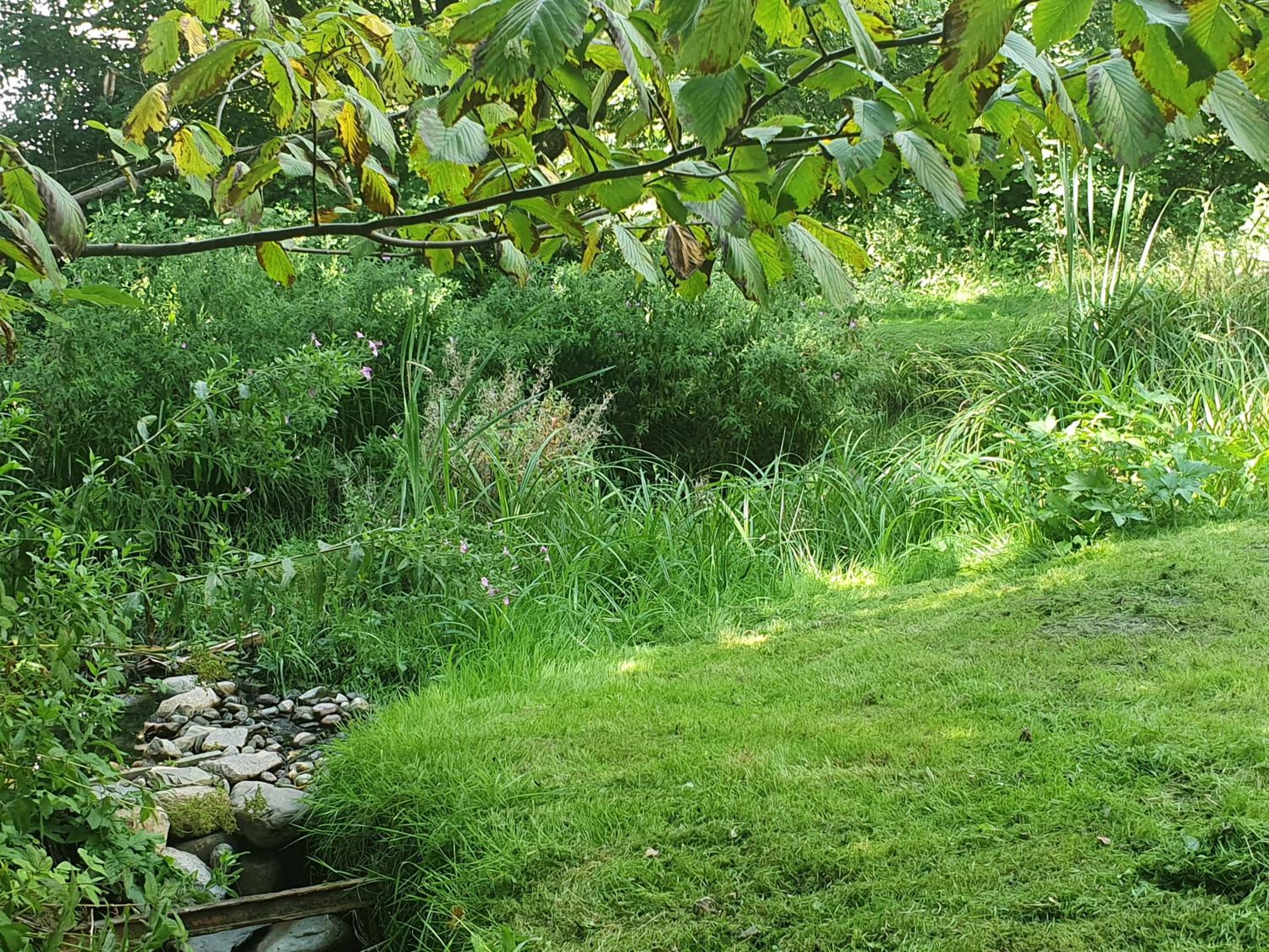 Photo 29