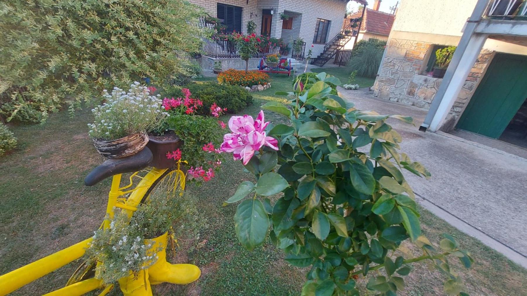Photo 20