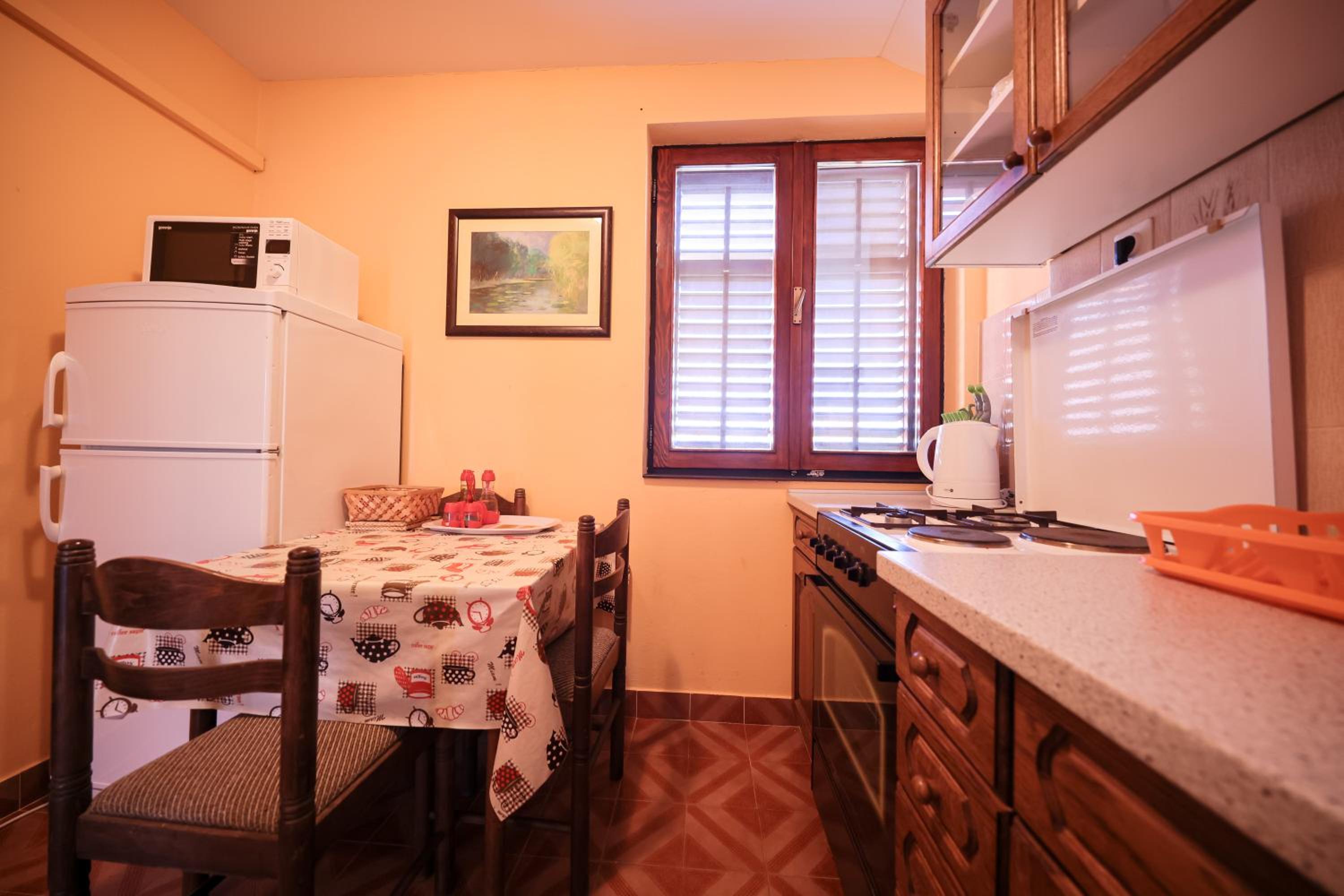 Apartment Ruza view 2