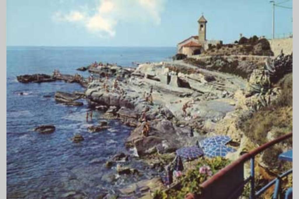 Photo 24