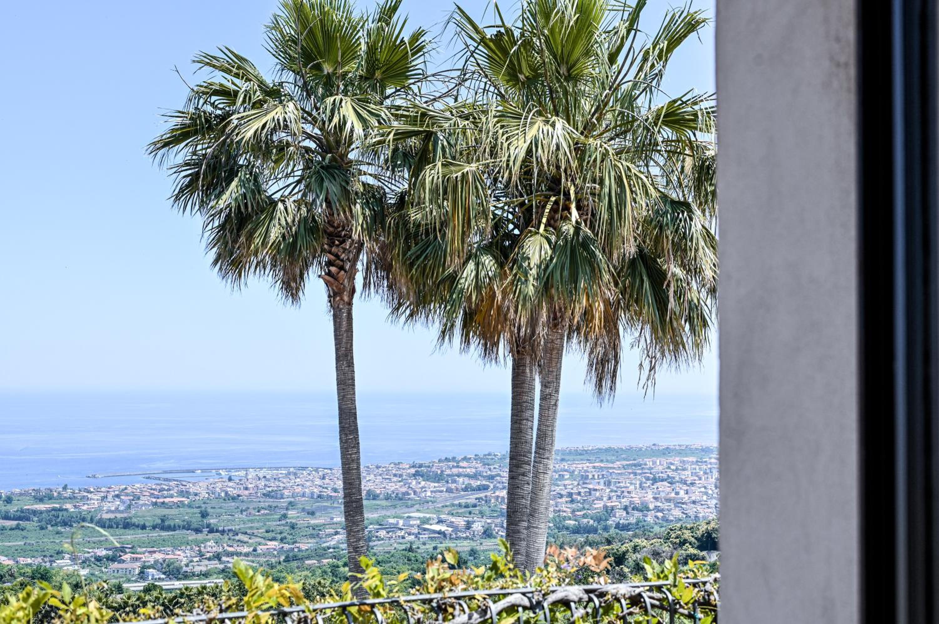 IL Ciliegio Dell 'Etna
