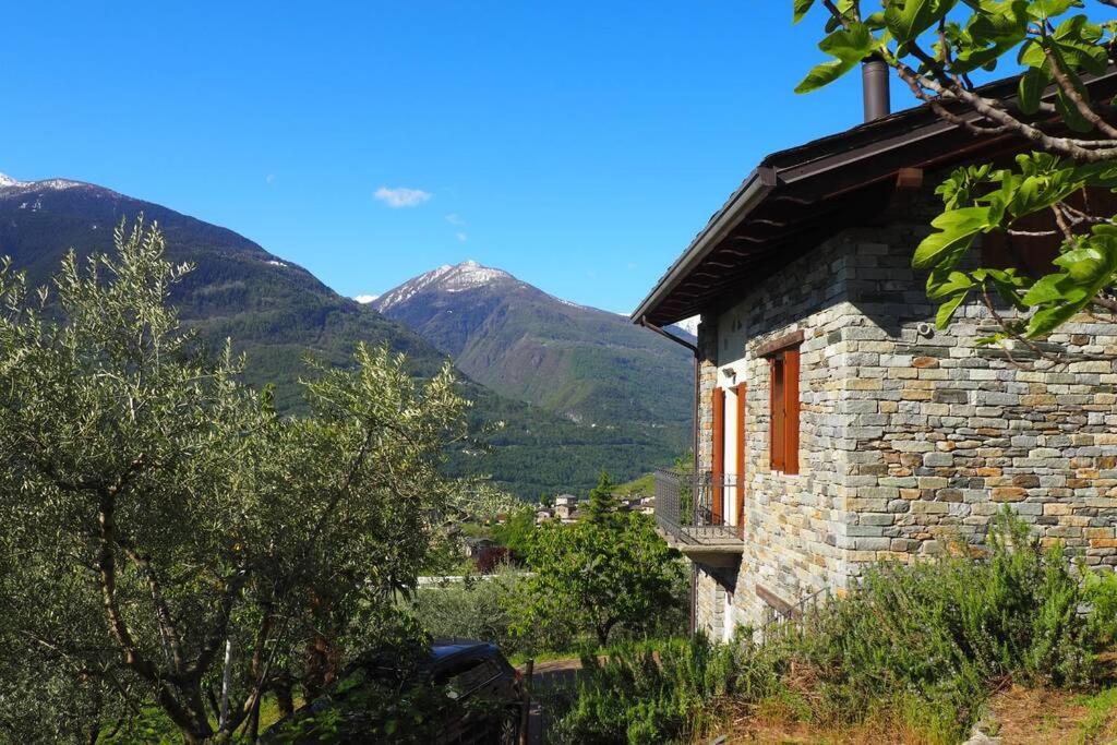 fantastica villa fra le Alpi valtellinesi view 3
