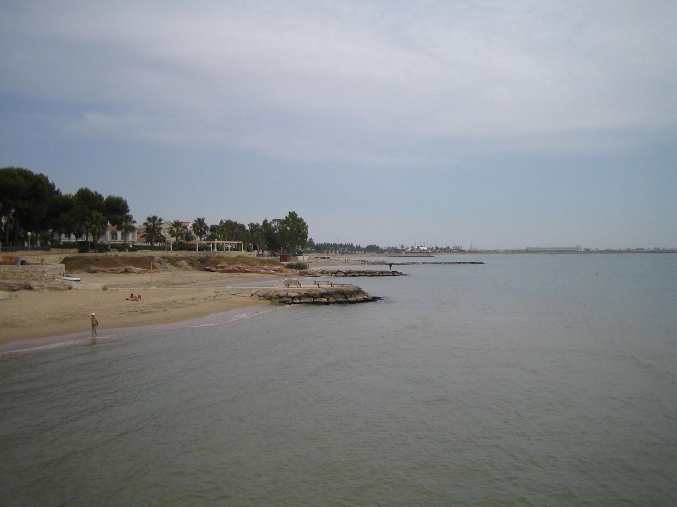 Photo 12