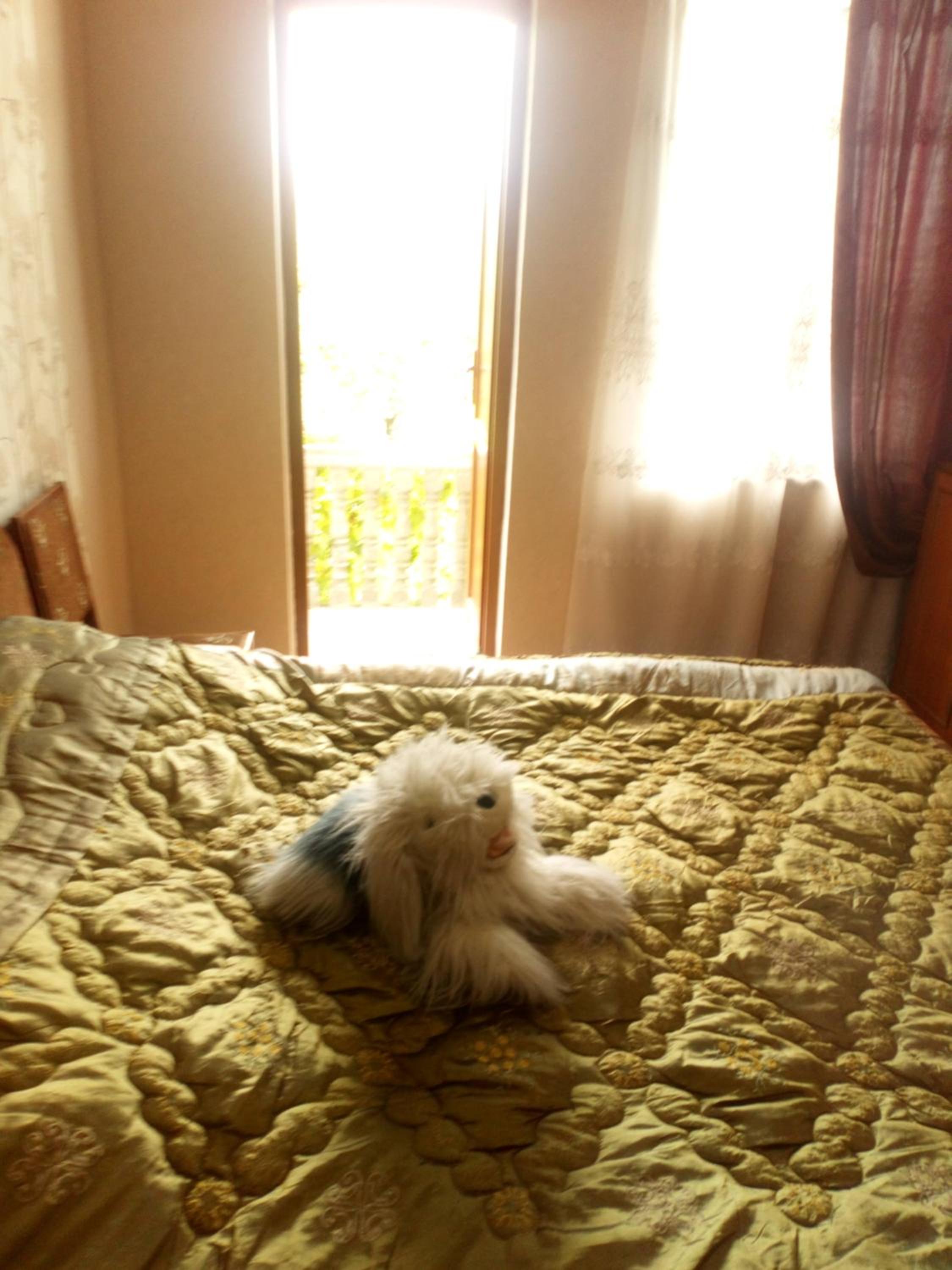 Photo 19