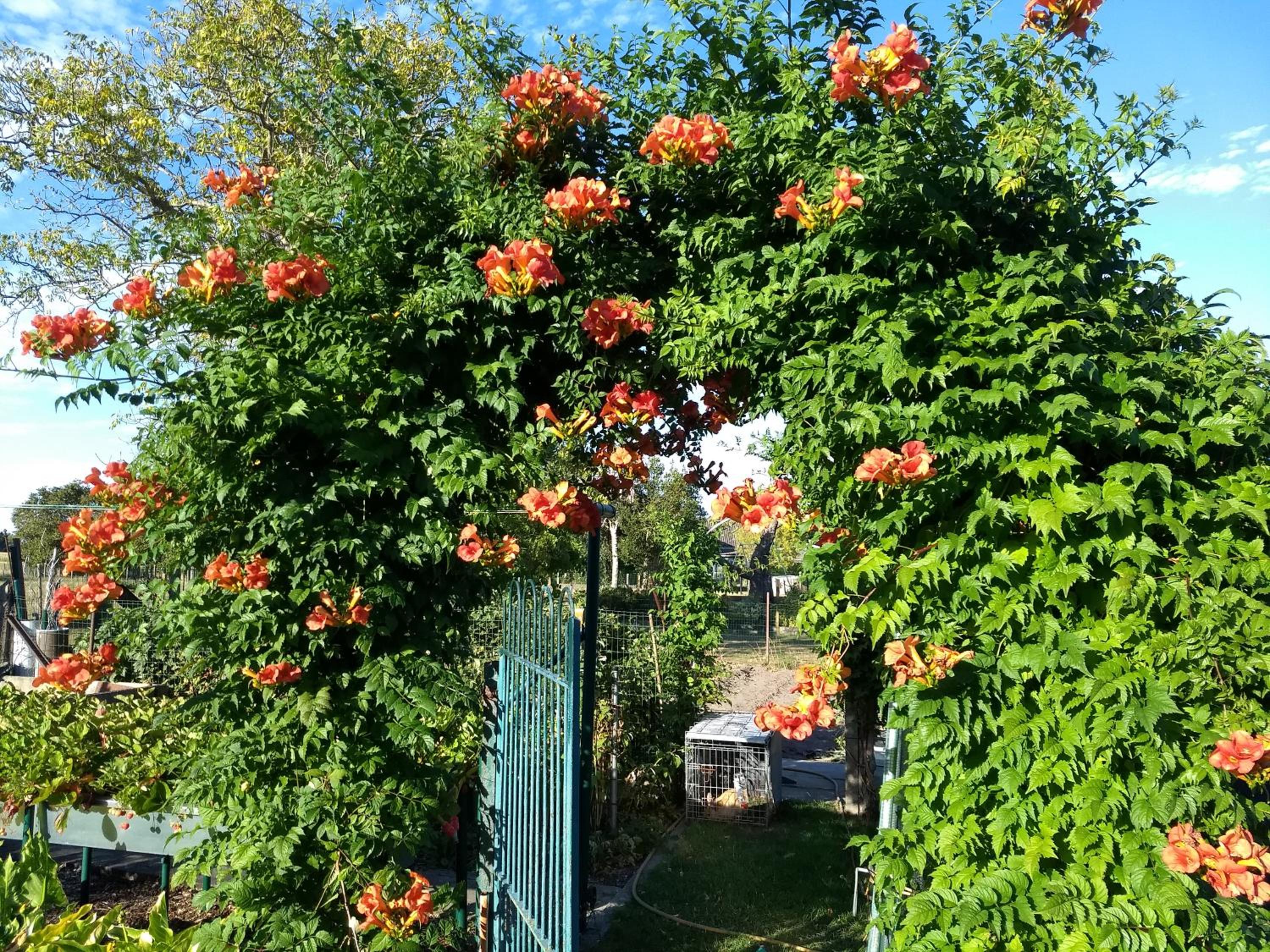 DHofstede vakantiewoning