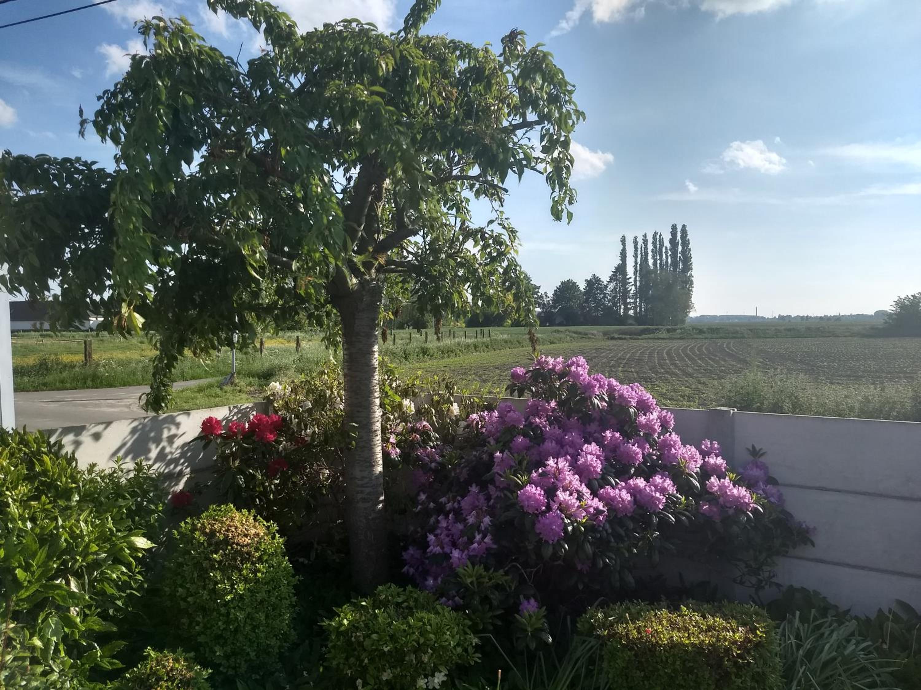 DHofstede vakantiewoning