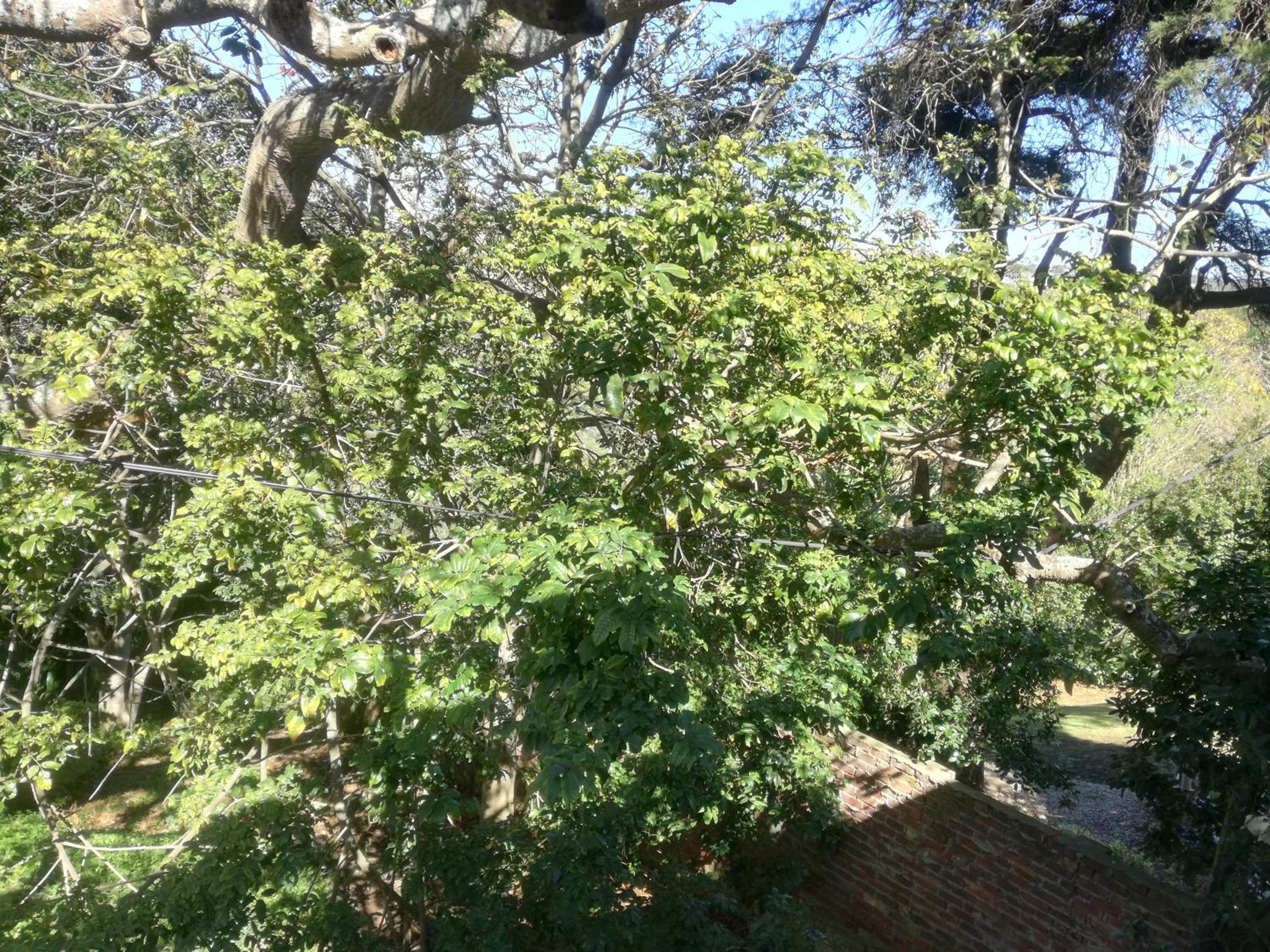 Valley Guest House