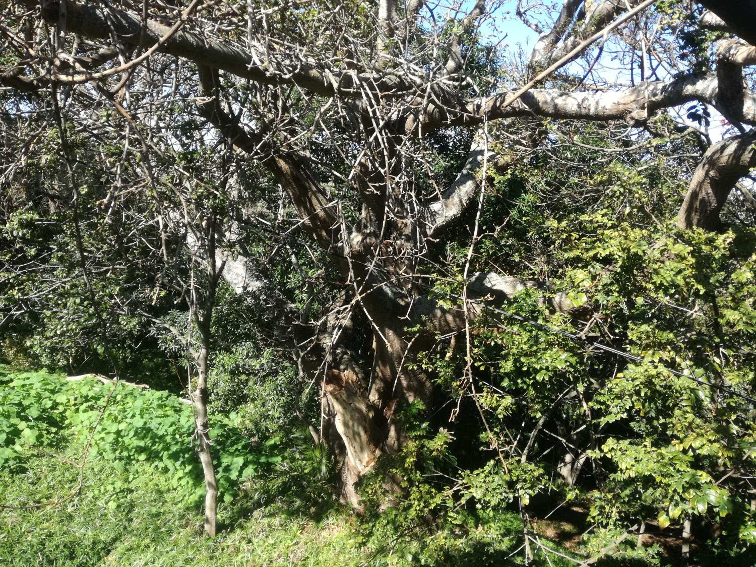 Valley Guest House