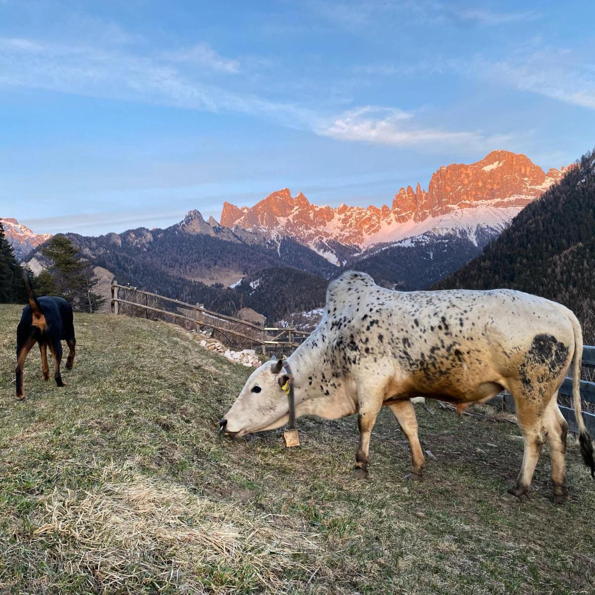 Veraltenhof Agriturismo B&B view 5