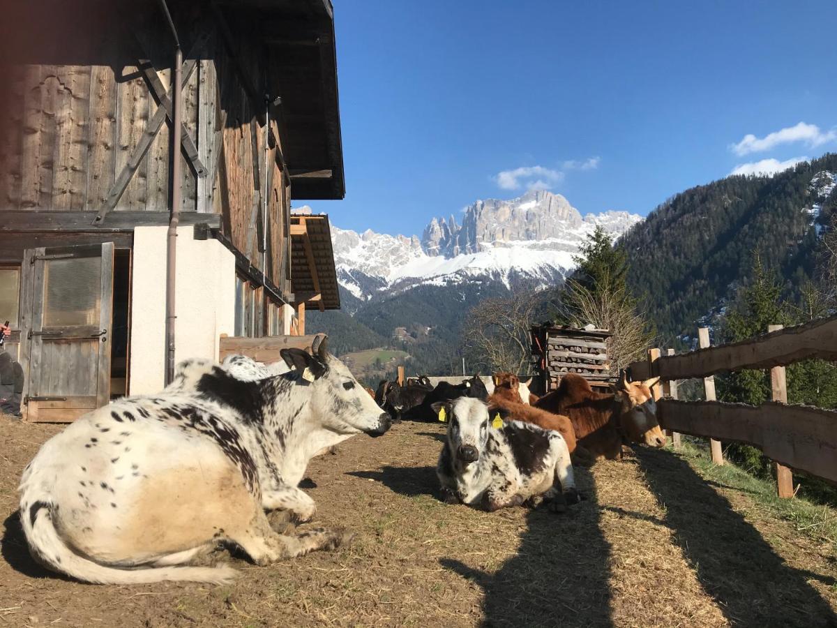 Veraltenhof Agriturismo B&B view 3
