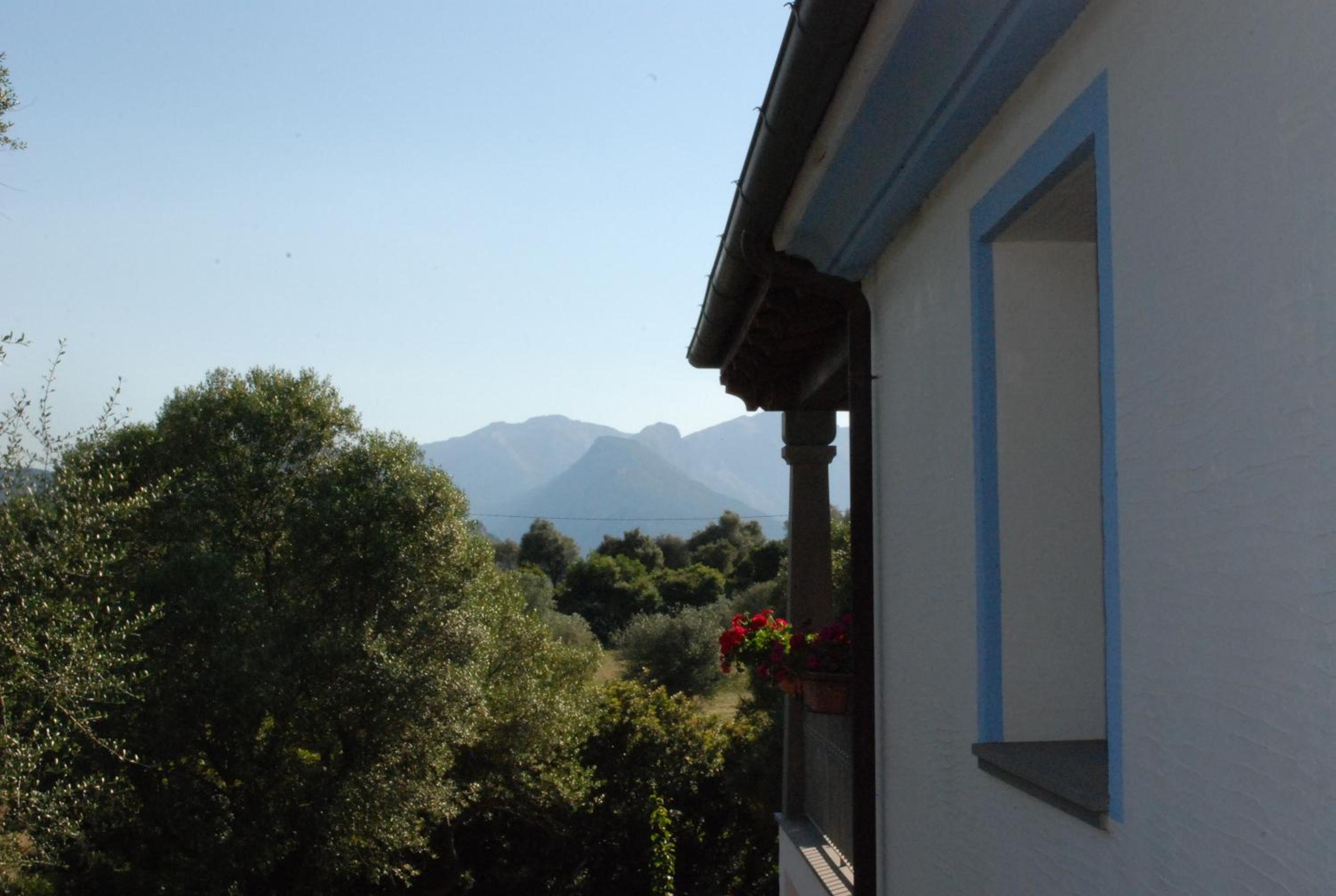 Photo 57