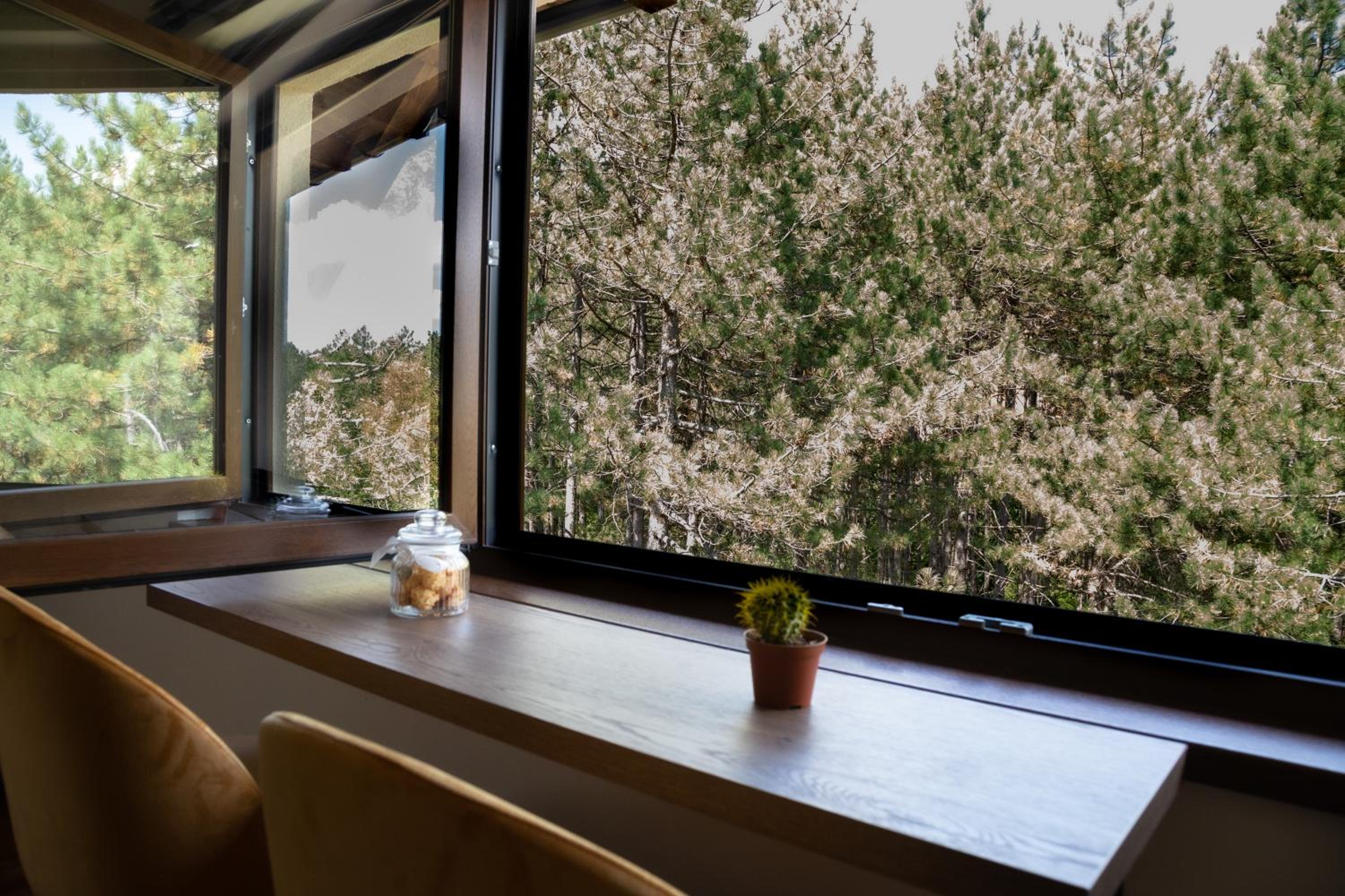 Zlatibor Apartman & Spa Casa Perfetta view 3